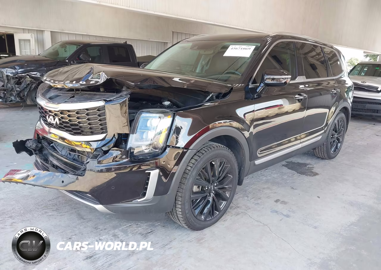 2022 Kia Telluride Sx VIN:5XYP54HCXNG275639 - 2