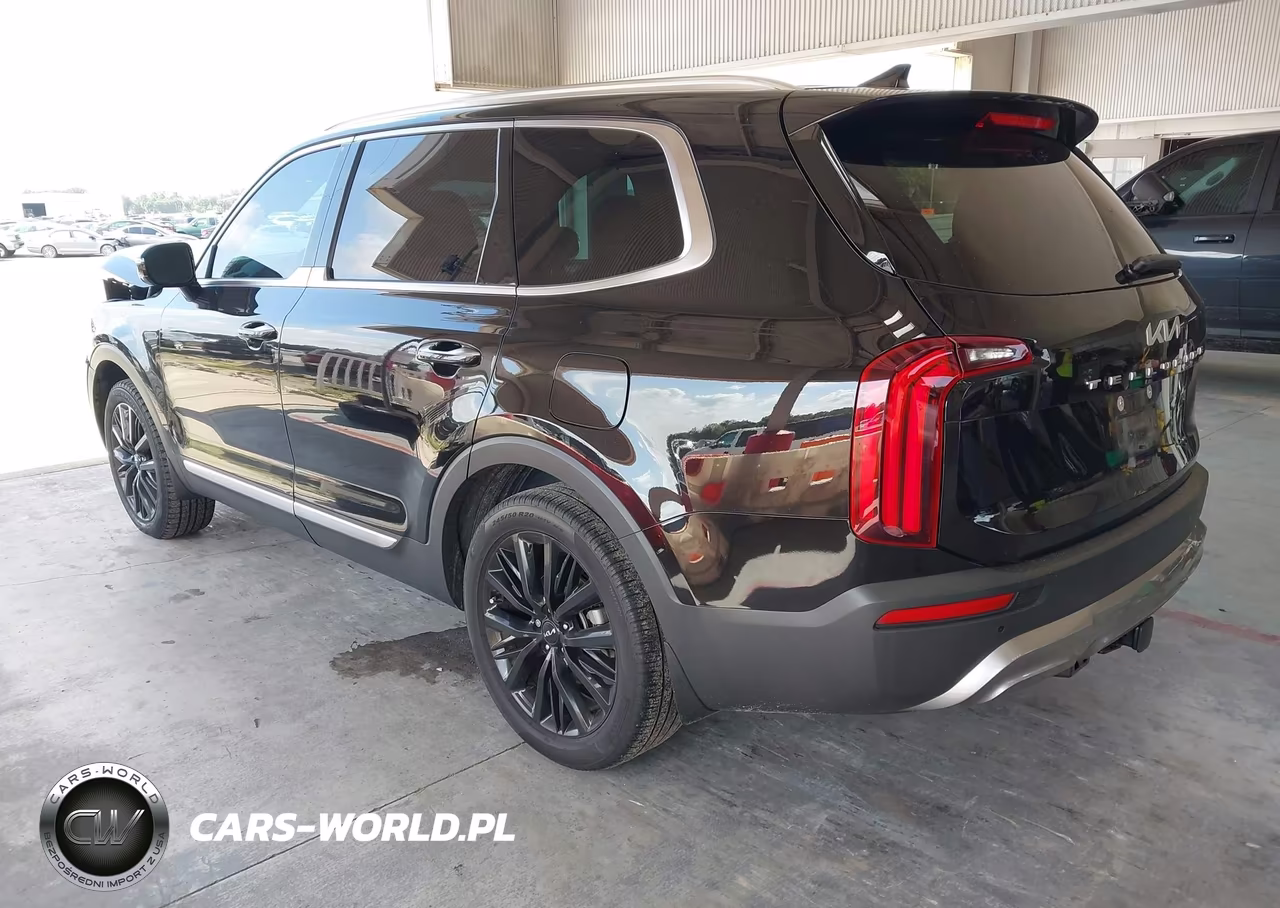 2022 Kia Telluride Sx VIN:5XYP54HCXNG275639 - 3