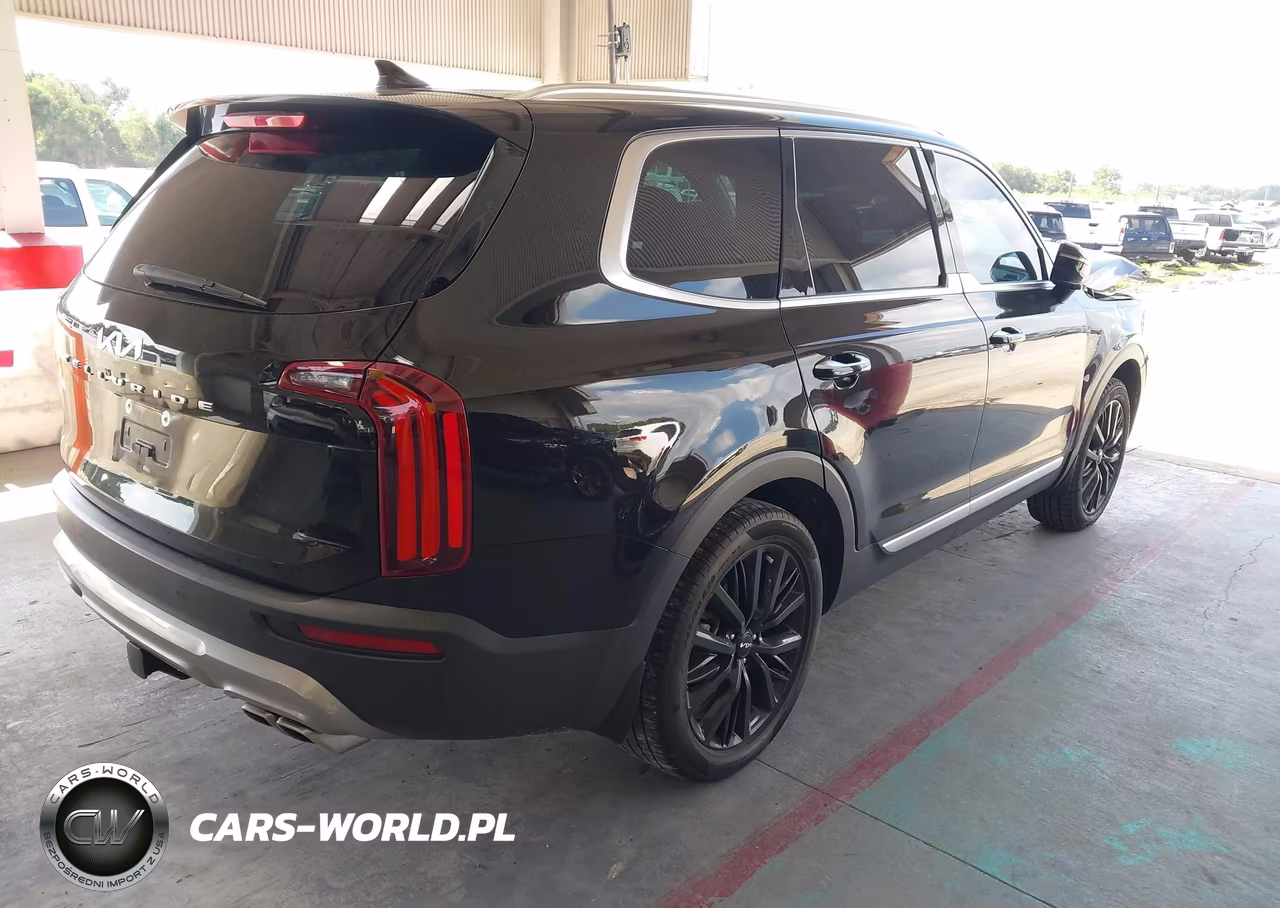 2022 Kia Telluride Sx VIN:5XYP54HCXNG275639 - 4