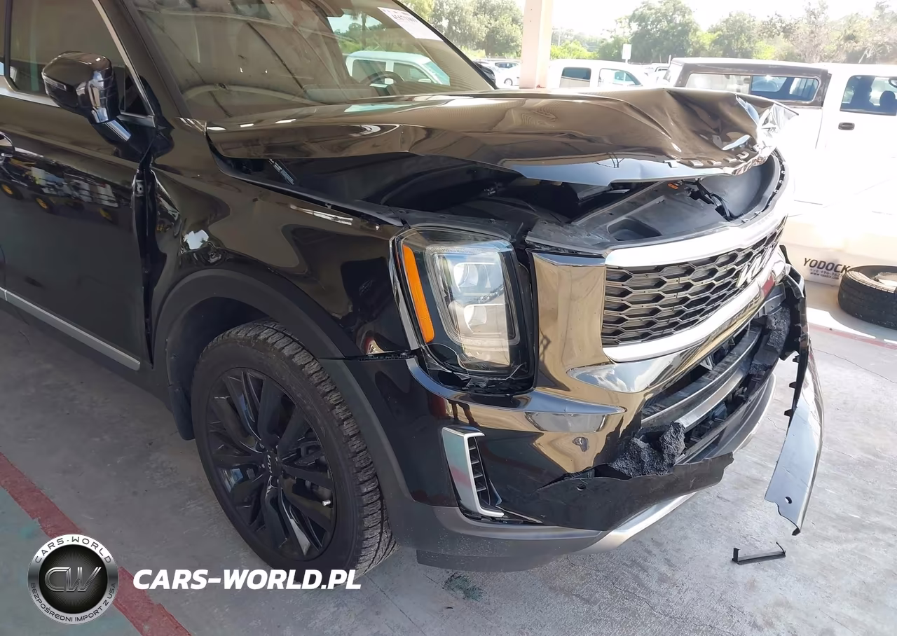 2022 Kia Telluride Sx VIN:5XYP54HCXNG275639 - 6