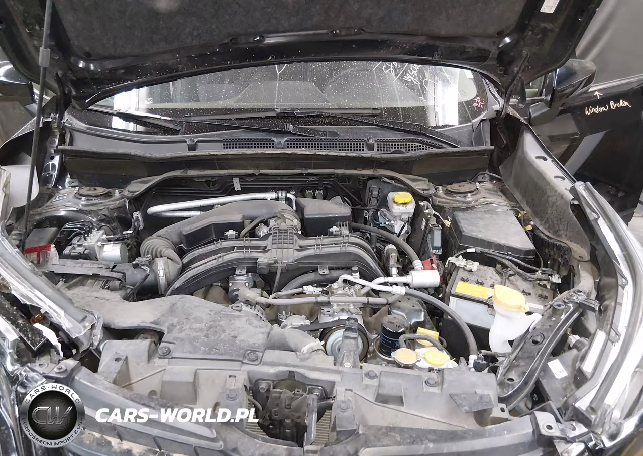 2024 Subaru Forester Limited VIN:JF2SKALC3RH422598 - 10