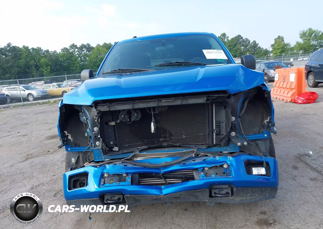 2019 Ford F-150 Xl VIN:1FTEW1EP0KKD94767 - 12