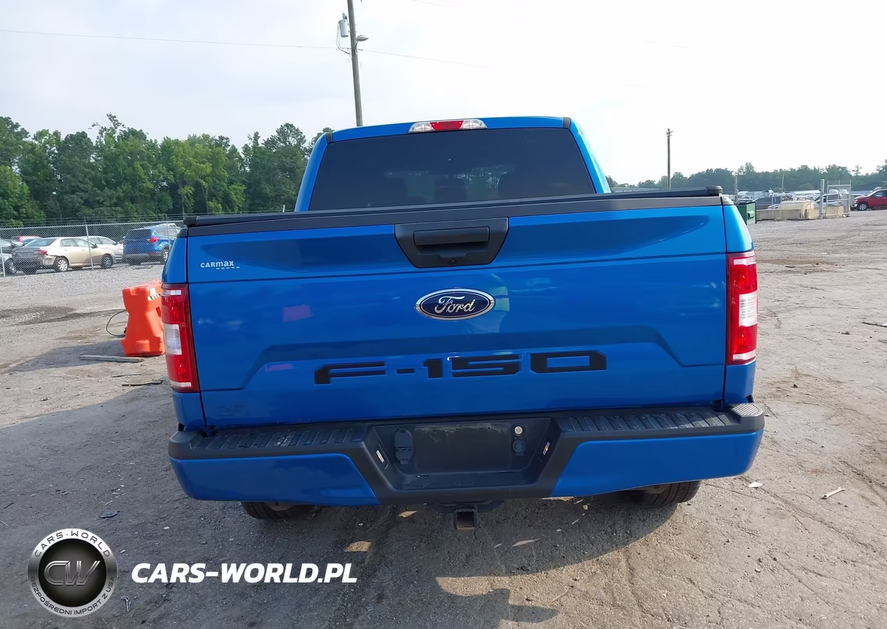 2019 Ford F-150 Xl VIN:1FTEW1EP0KKD94767 - 16