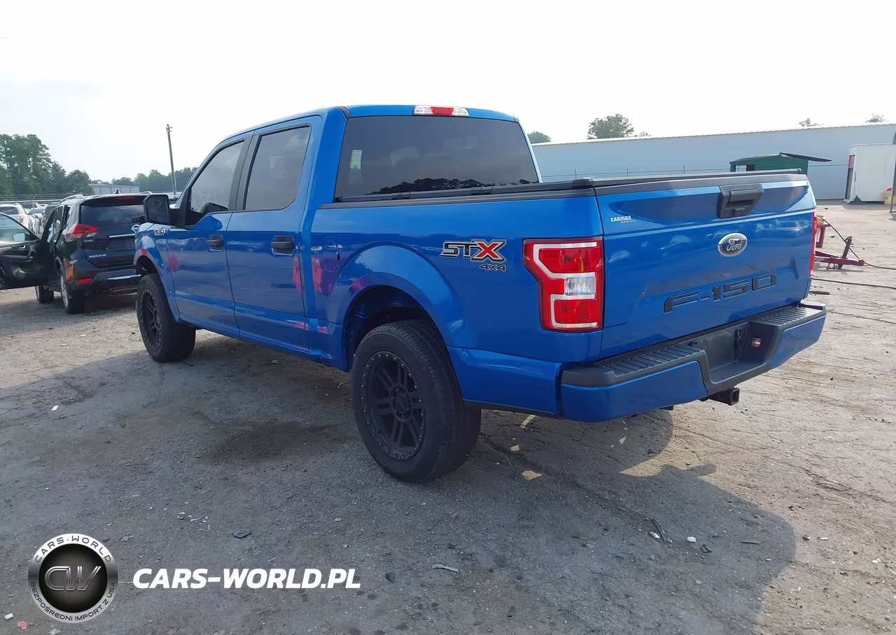 2019 Ford F-150 Xl VIN:1FTEW1EP0KKD94767 - 3
