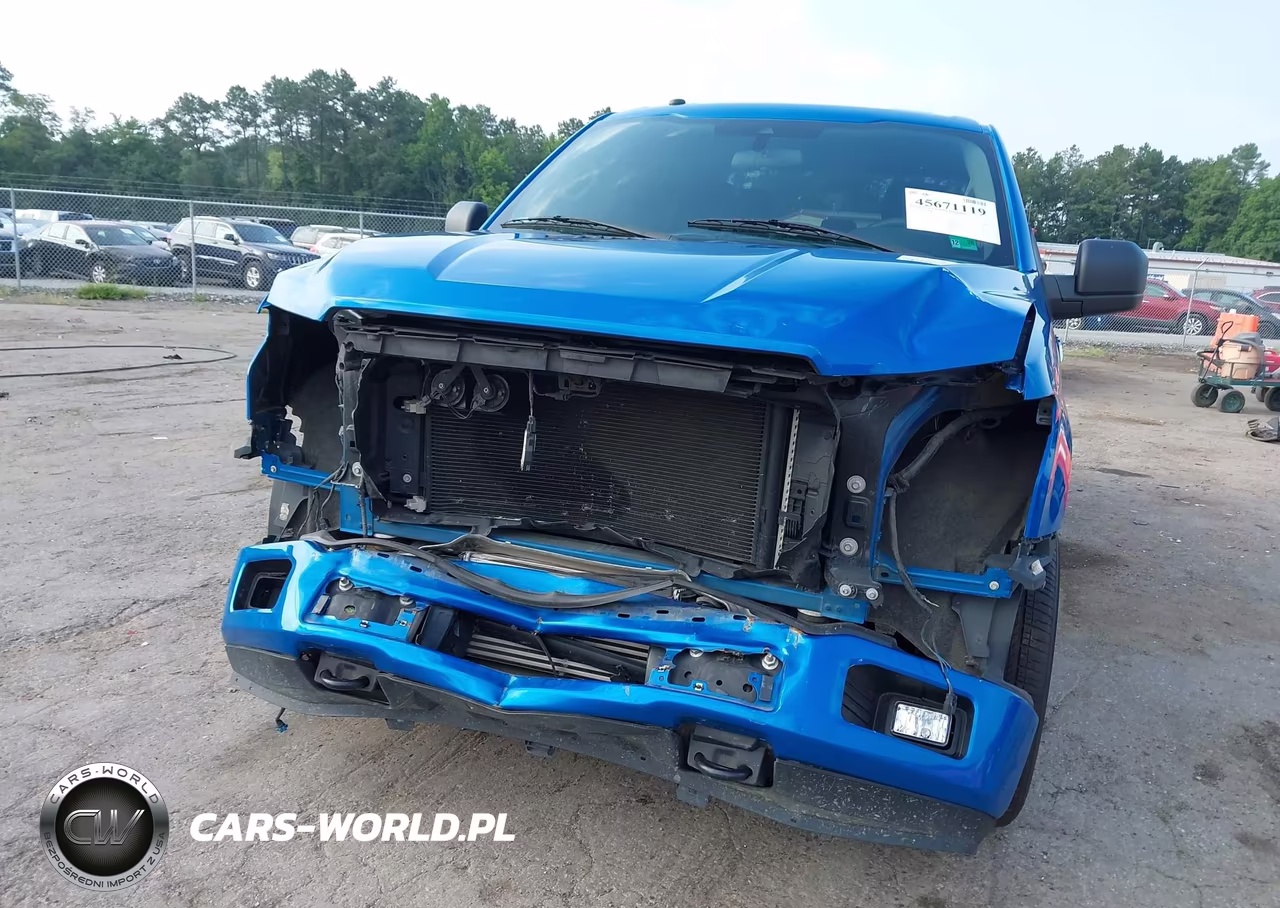 2019 Ford F-150 Xl VIN:1FTEW1EP0KKD94767 - 6