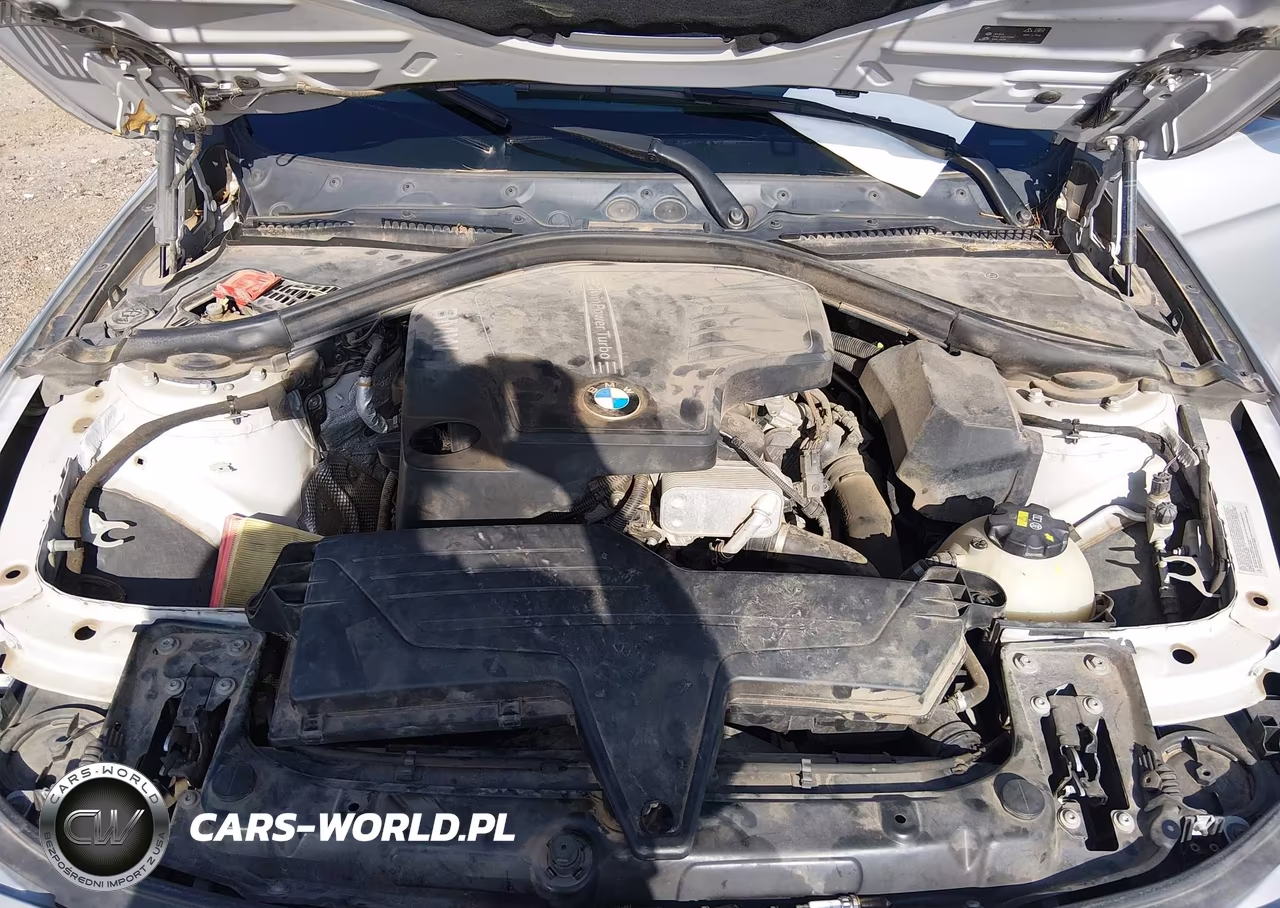 2016 BMW 320I VIN:WBA8A9C57GK617533 - 10