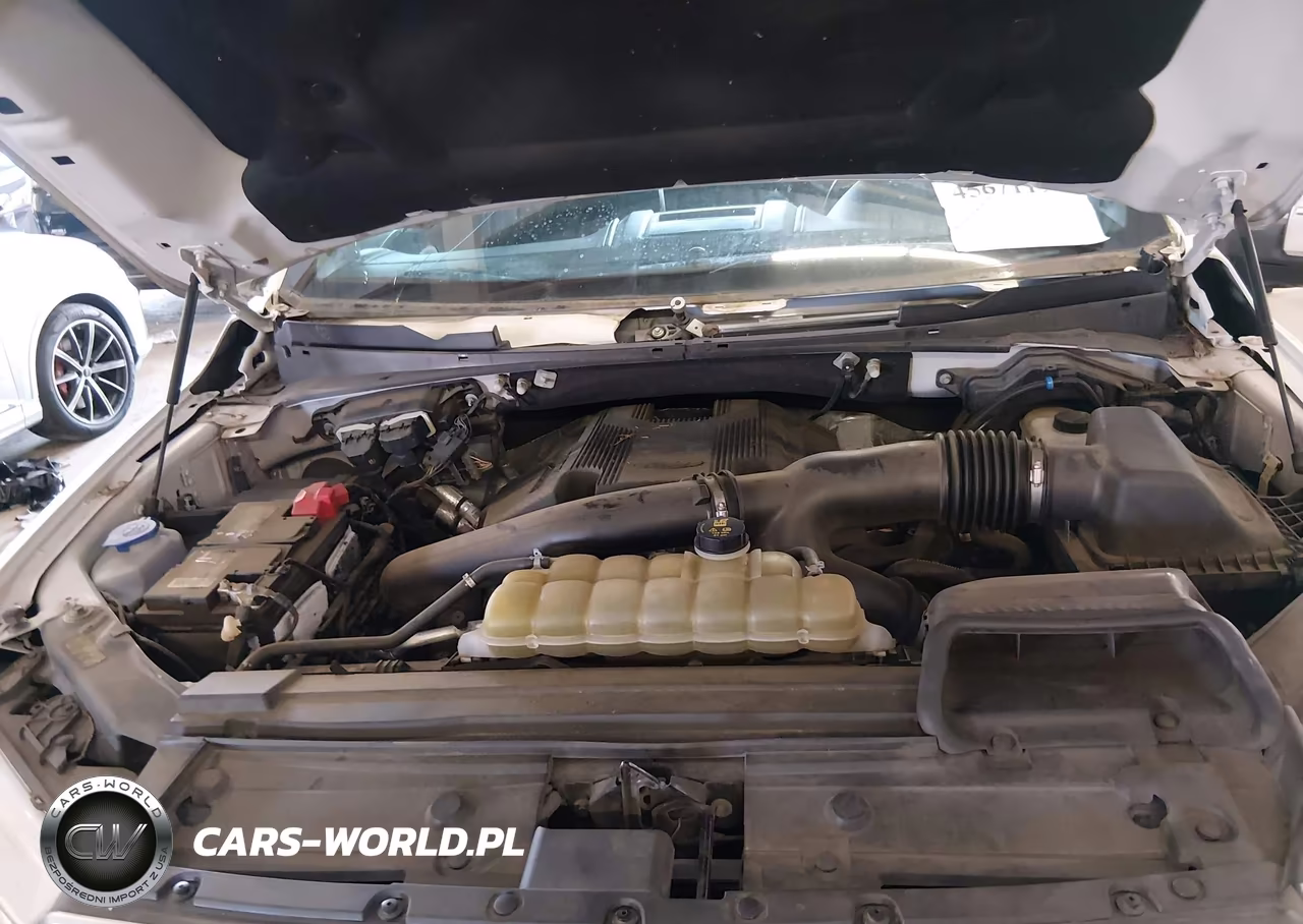 2019 Ford F-150 Platinum VIN:1FTEW1E49KFC01238 - 10