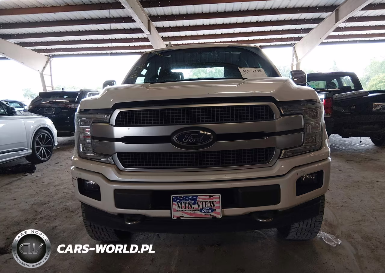 2019 Ford F-150 Platinum VIN:1FTEW1E49KFC01238 - 12