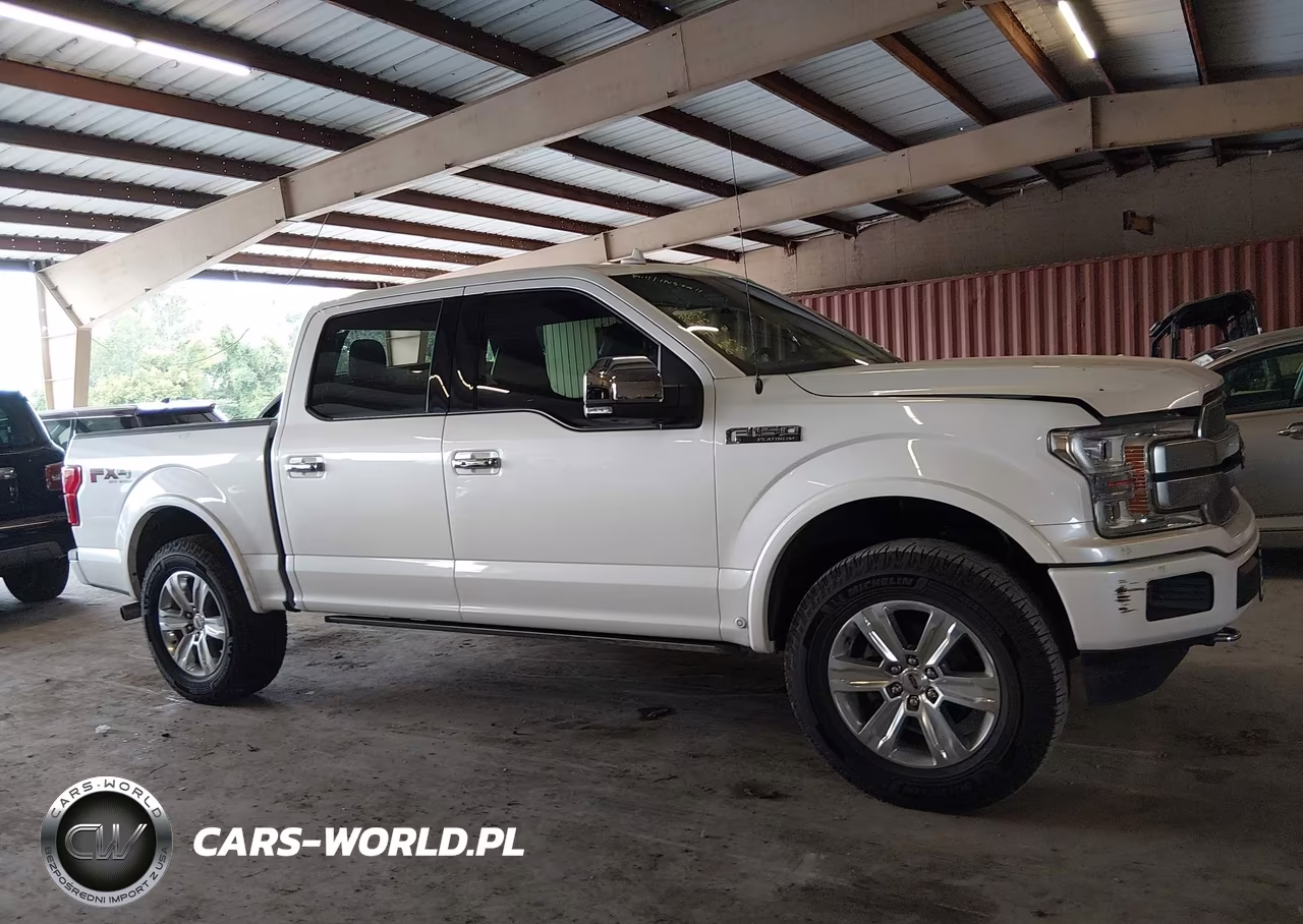 2019 Ford F-150 Platinum VIN:1FTEW1E49KFC01238 - 13