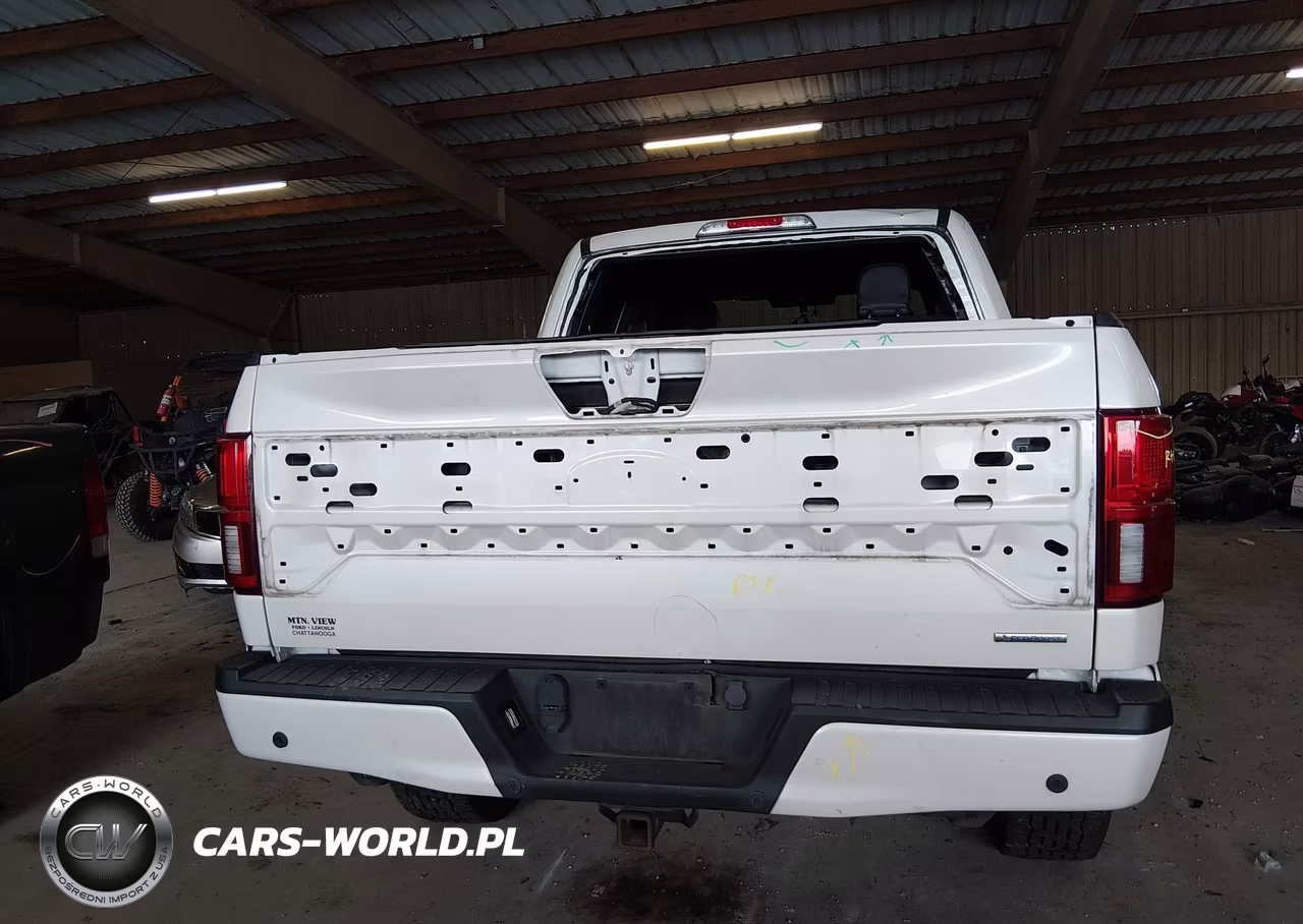 2019 Ford F-150 Platinum VIN:1FTEW1E49KFC01238 - 16