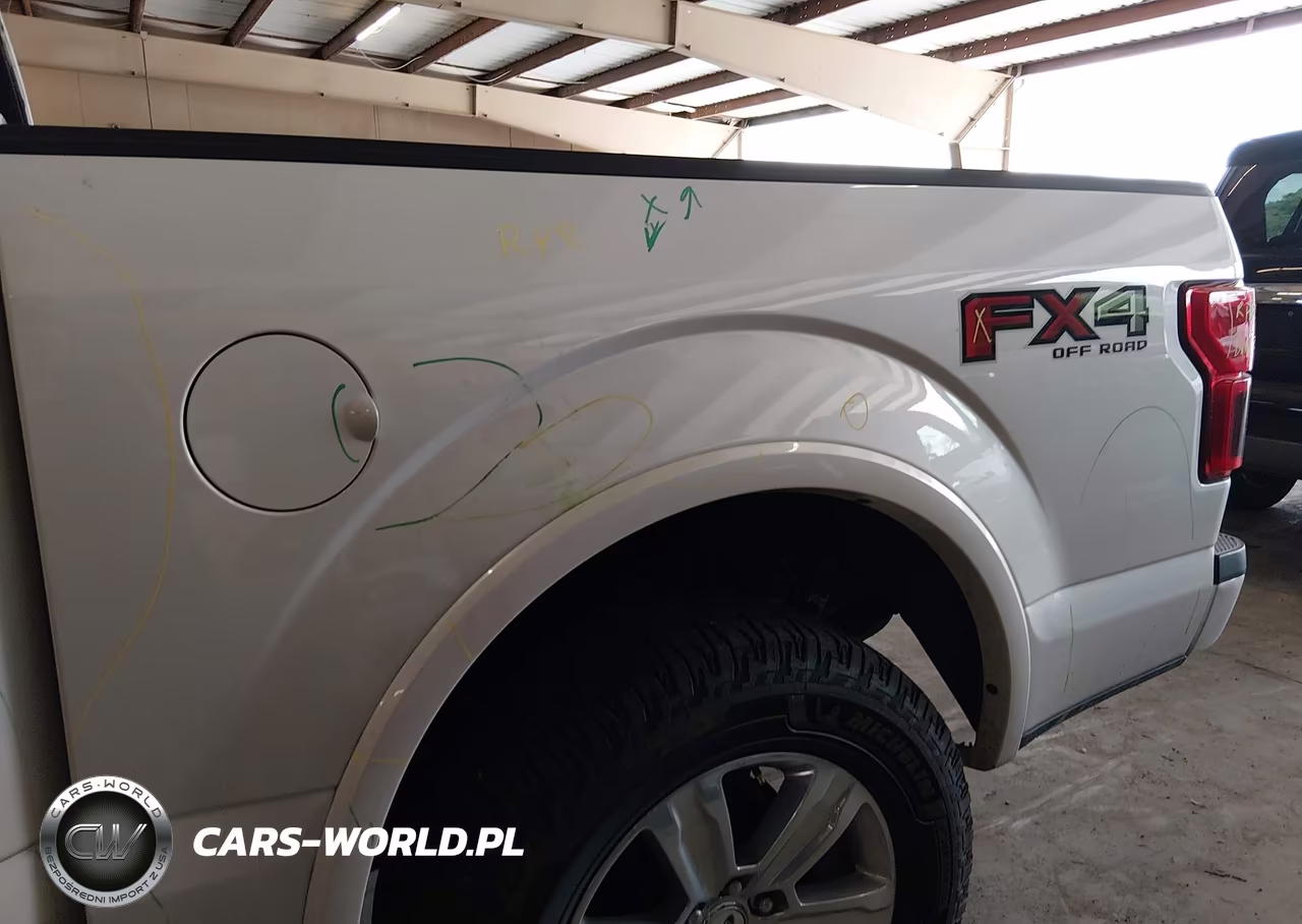 2019 Ford F-150 Platinum VIN:1FTEW1E49KFC01238 - 18