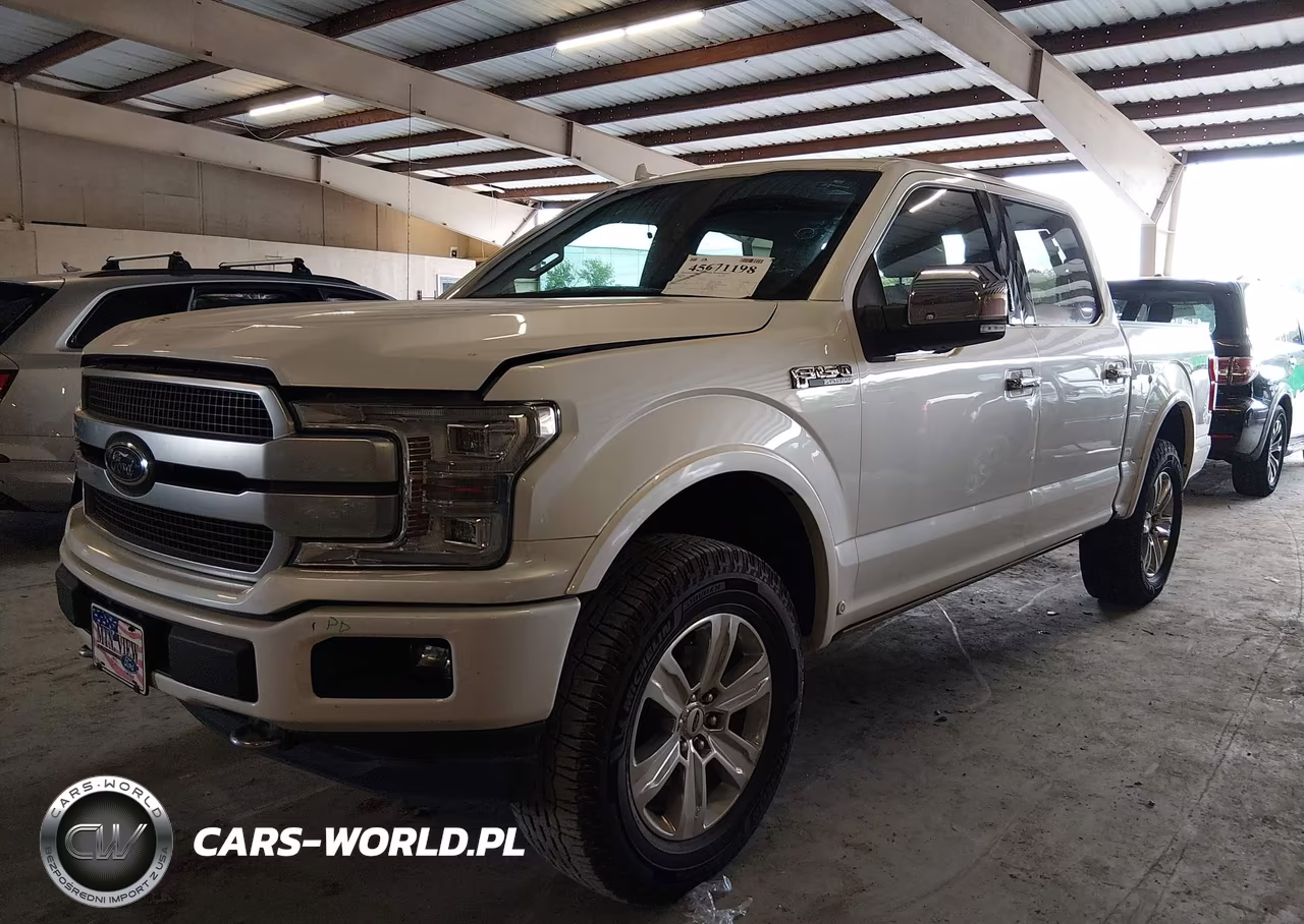 2019 Ford F-150 Platinum VIN:1FTEW1E49KFC01238 - 2