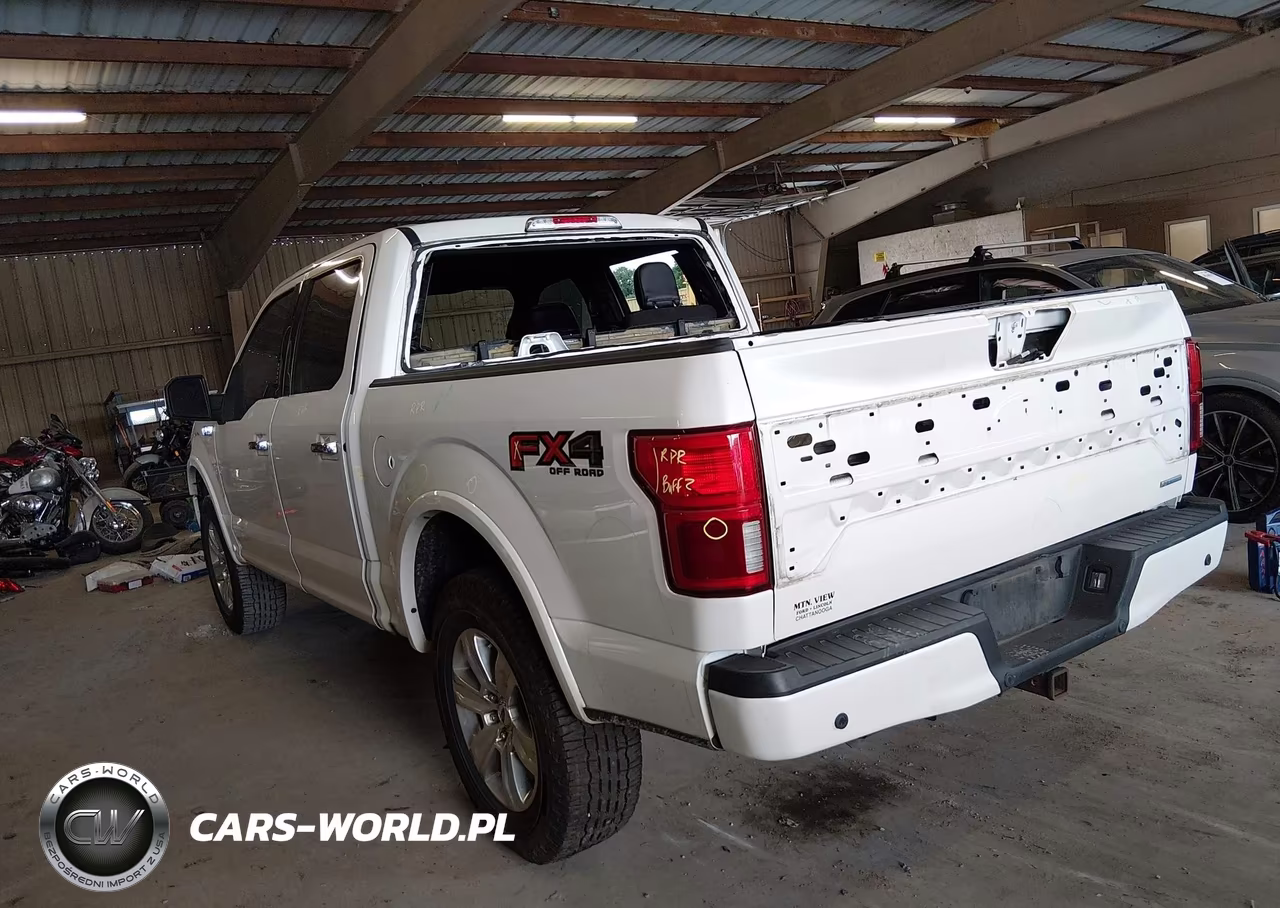 2019 Ford F-150 Platinum VIN:1FTEW1E49KFC01238 - 3