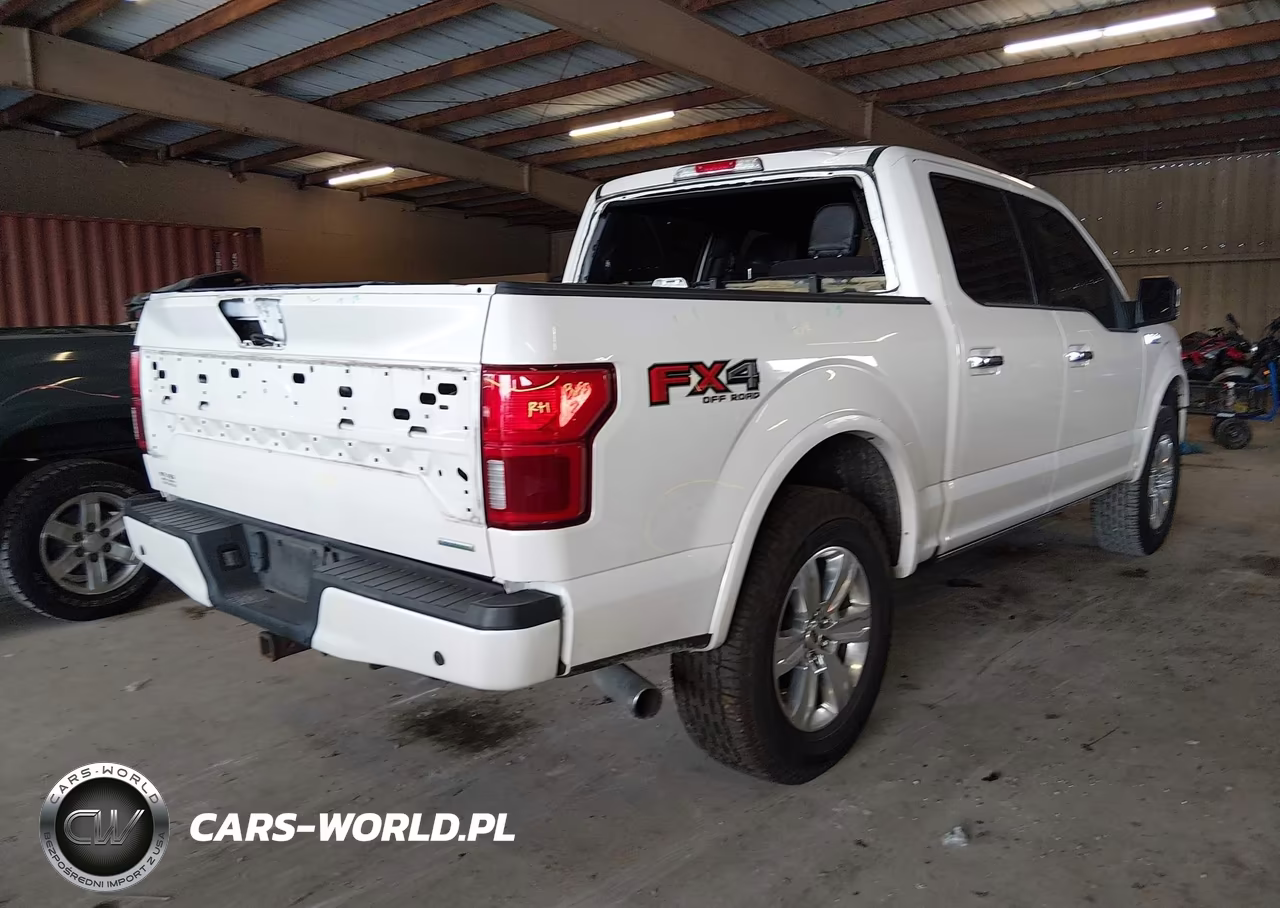 2019 Ford F-150 Platinum VIN:1FTEW1E49KFC01238 - 4