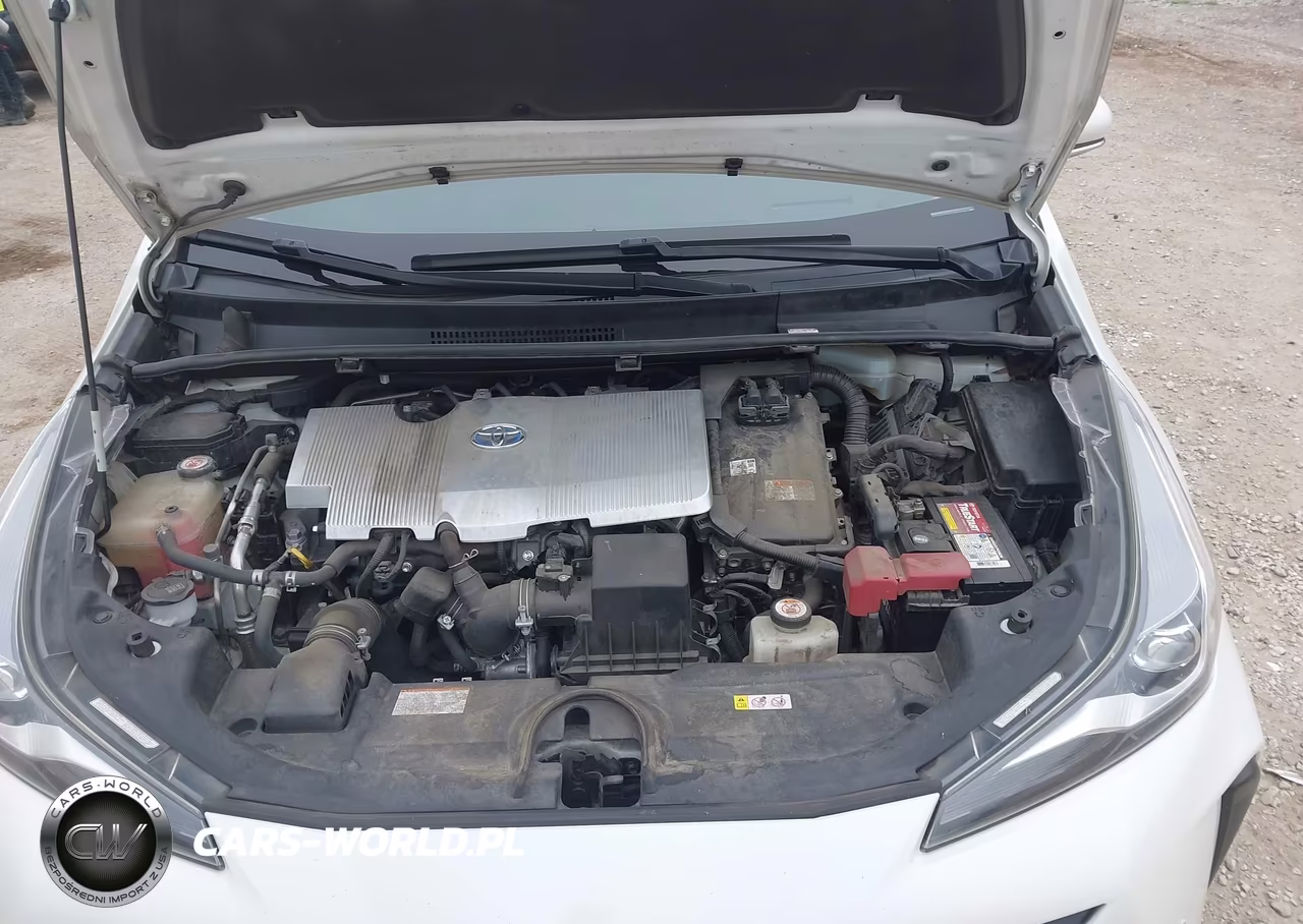 2019 Toyota Prius Limited VIN:JTDKARFU1K3086781 - 10