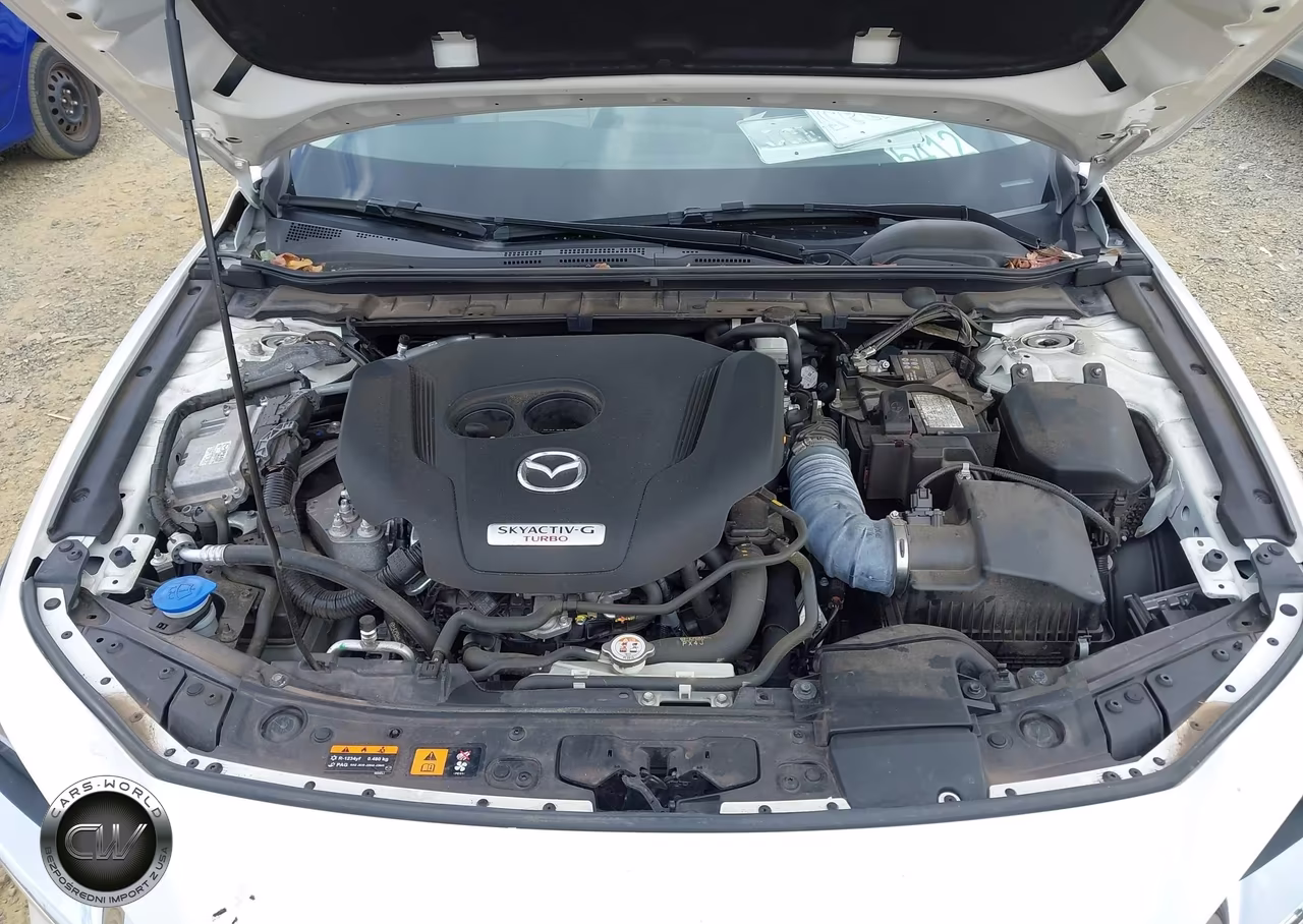 2023 Mazda Mazda3 2.5 Turbo Premium Plus VIN:3MZBPBEY1PM382283 - 10
