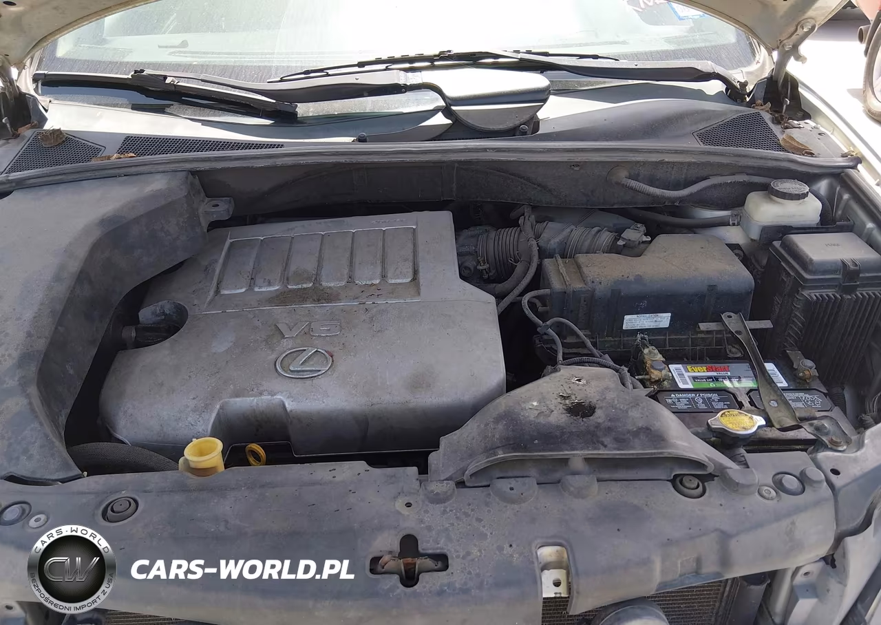 2007 Lexus Rx 350 VIN:2T2GK31U57C003516 - 10