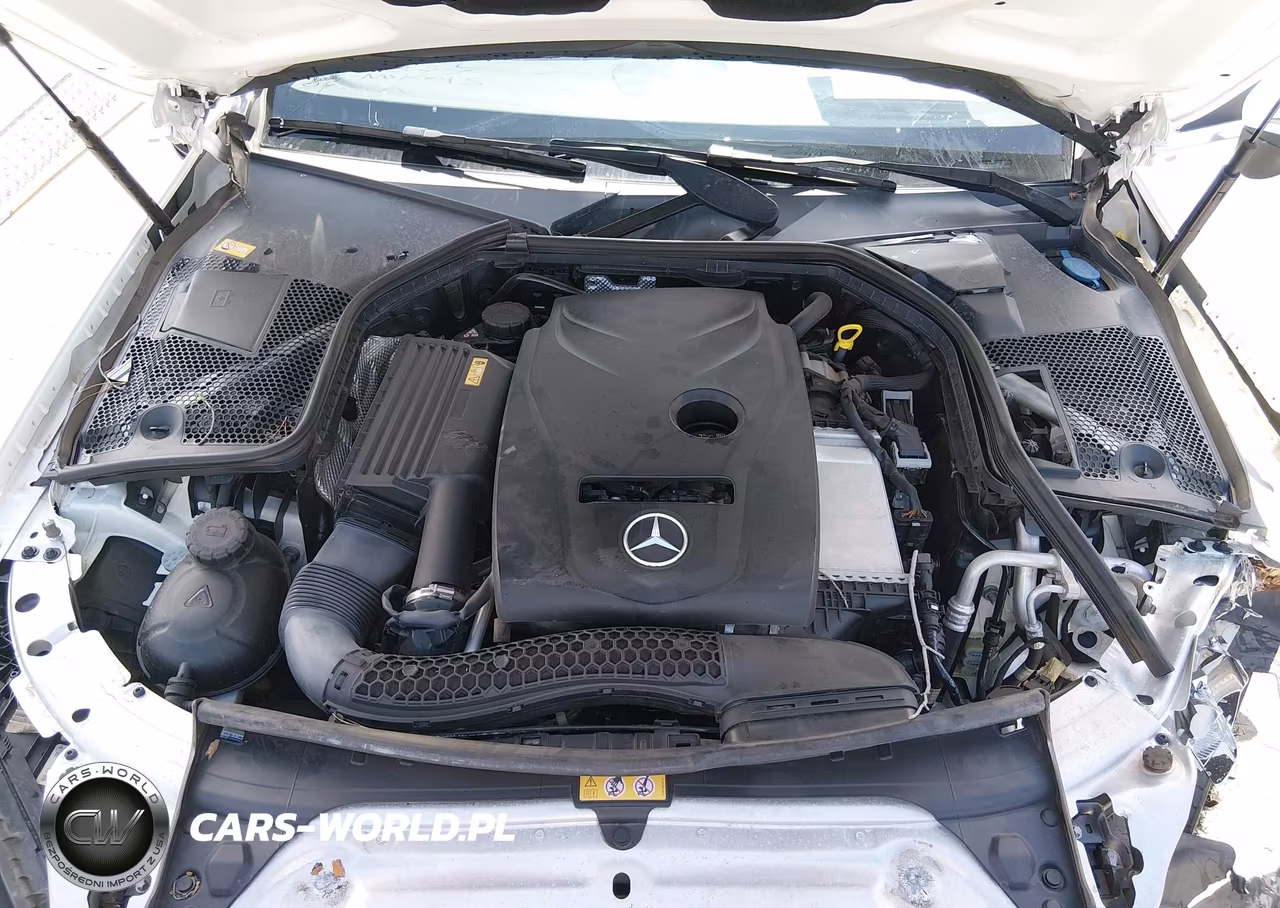 2017 Mercedes-Benz C 300 VIN:WDDWJ4JB3HF361347 - 10