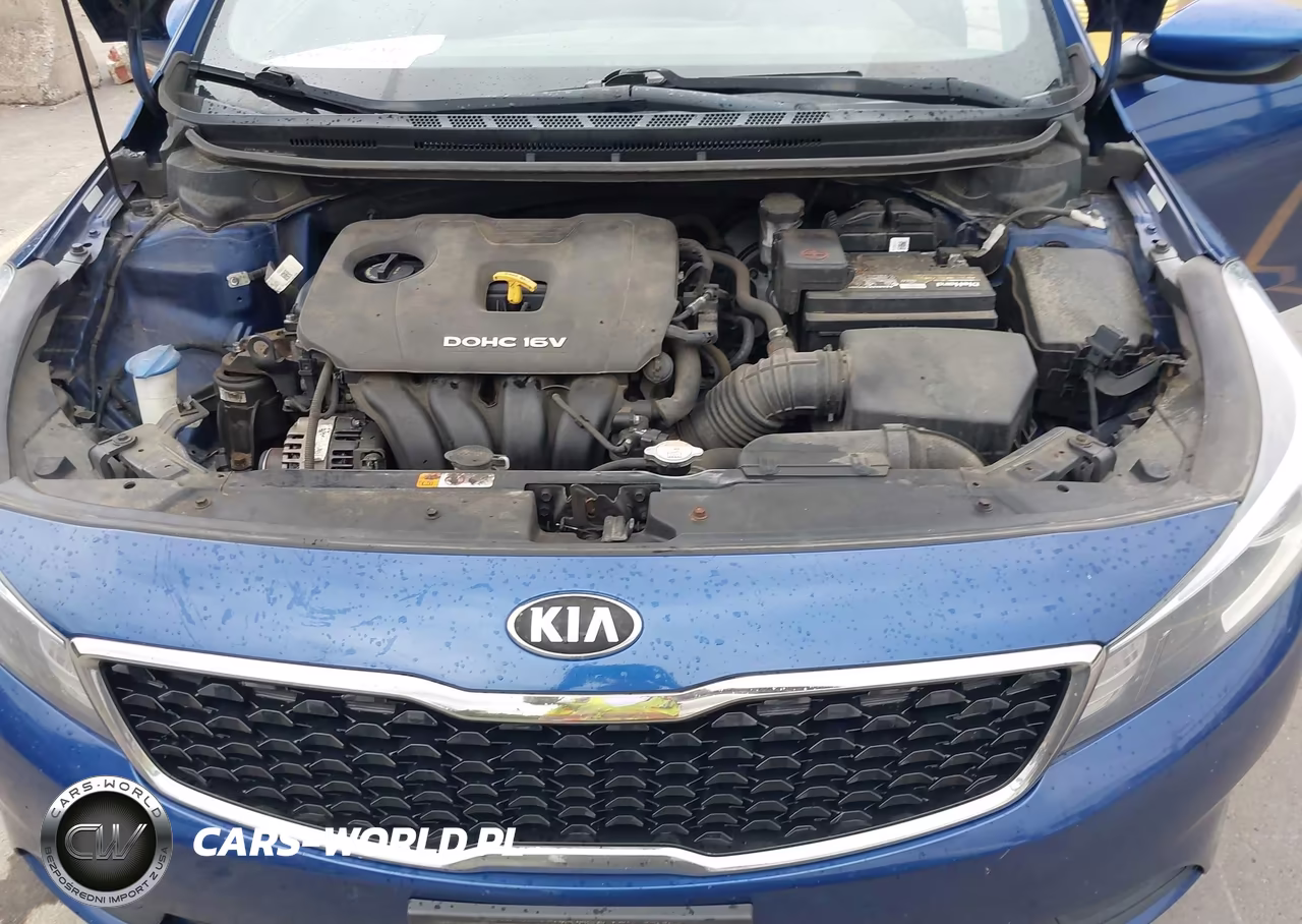 2018 Kia Forte S VIN:3KPFL4A76JE164480 - 10