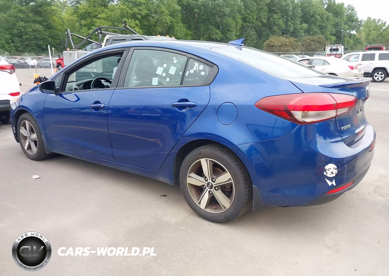 2018 Kia Forte S VIN:3KPFL4A76JE164480 - 3