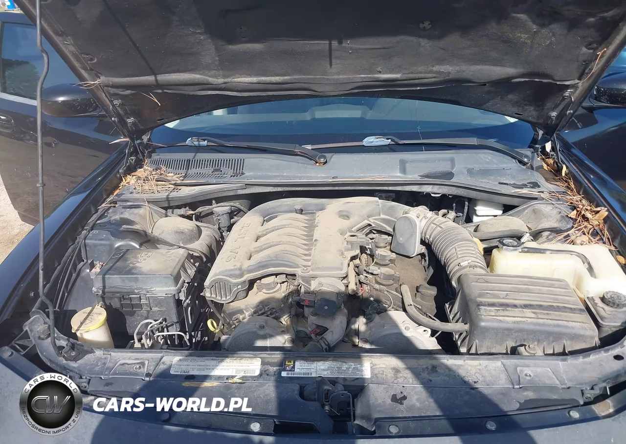 2010 Dodge Charger 3.5L VIN:2B3CA2CV0AH316719 - 10