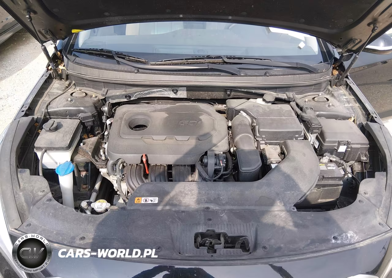 2016 Hyundai Sonata Se VIN:5NPE24AF7GH300996 - 10