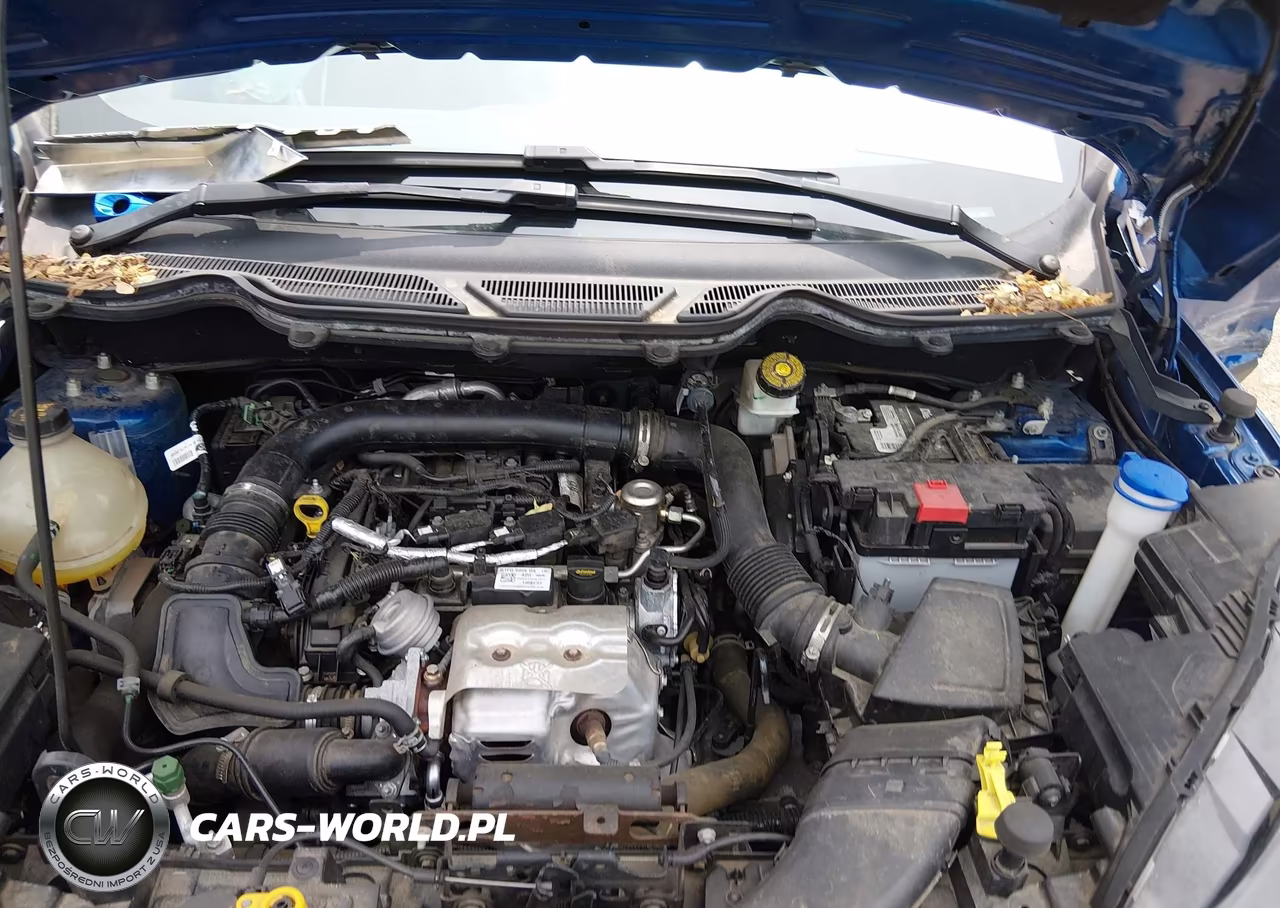 2019 Ford Ecosport Se VIN:MAJ3S2GEXKC269425 - 10