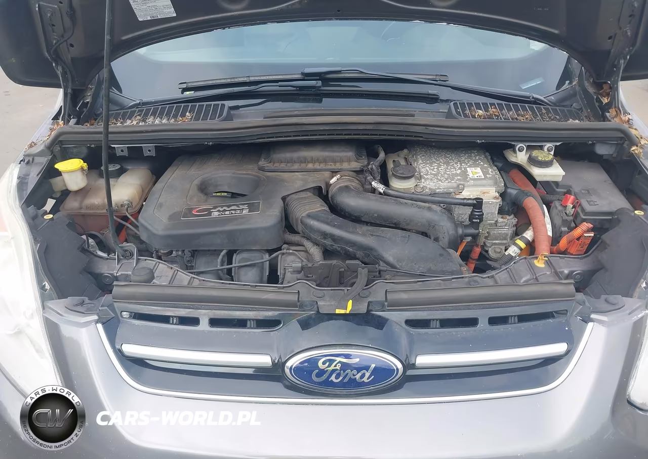 2013 Ford C-Max Energi Sel VIN:1FADP5CU2DL523264 - 10