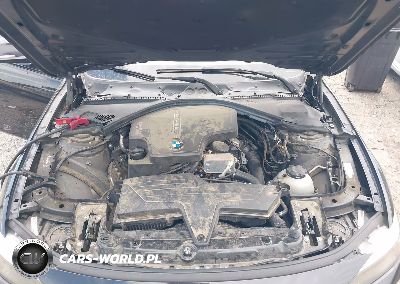 2013 BMW 320I VIN:WBA3B1C56DF462728 - 10