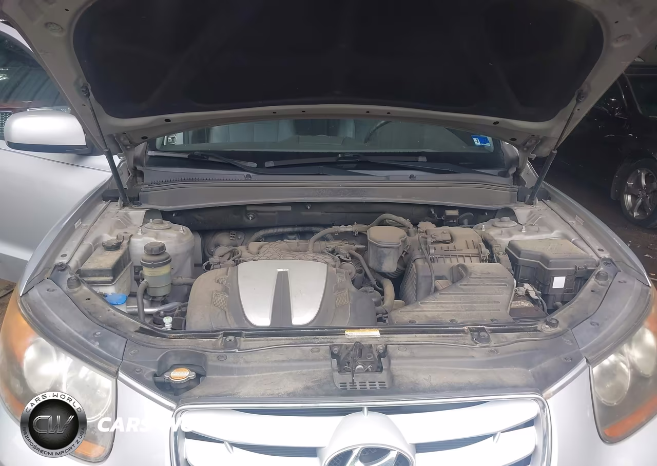 2010 Hyundai Santa Fe Se VIN:5NMSH4AG3AH392610 - 10
