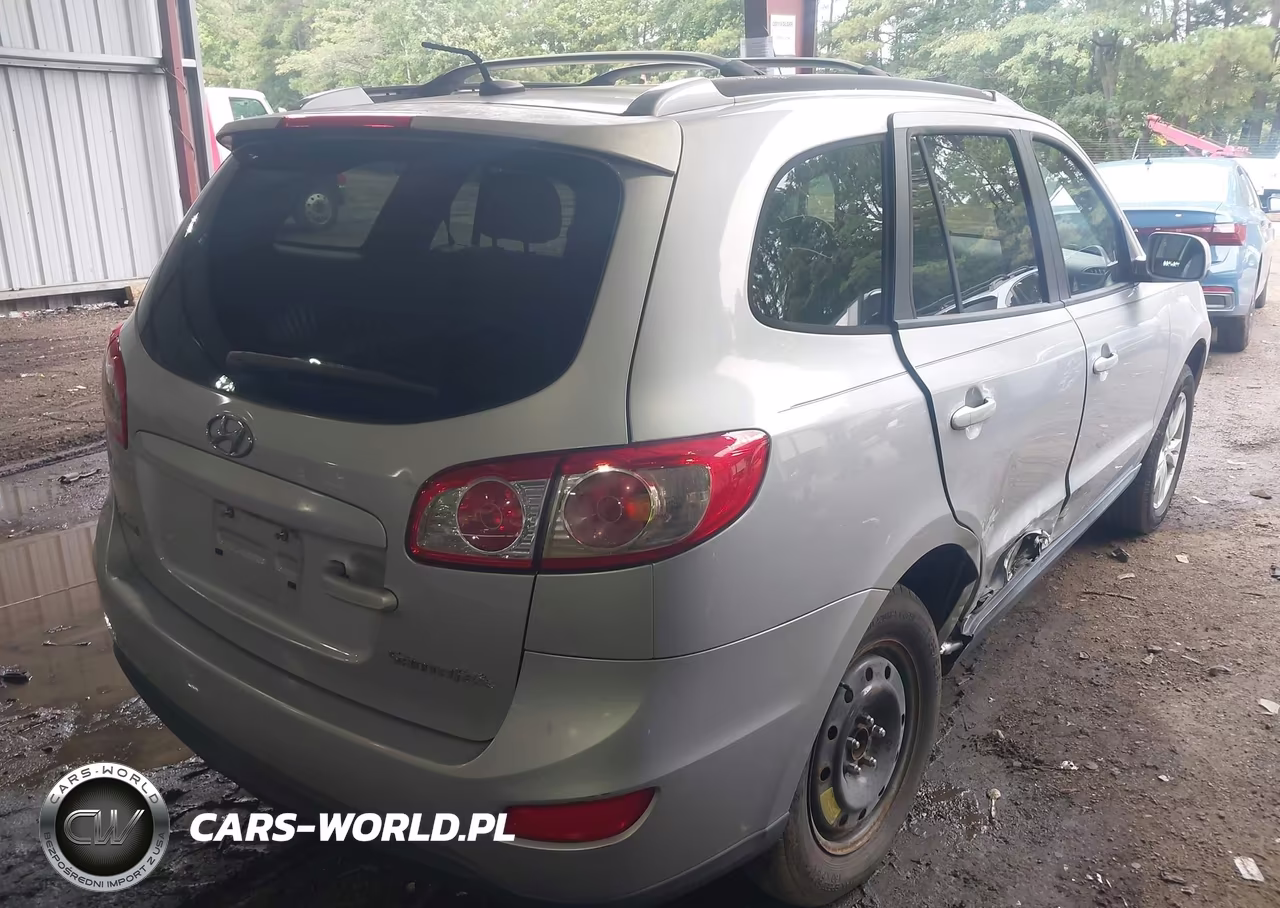2010 Hyundai Santa Fe Se VIN:5NMSH4AG3AH392610 - 4