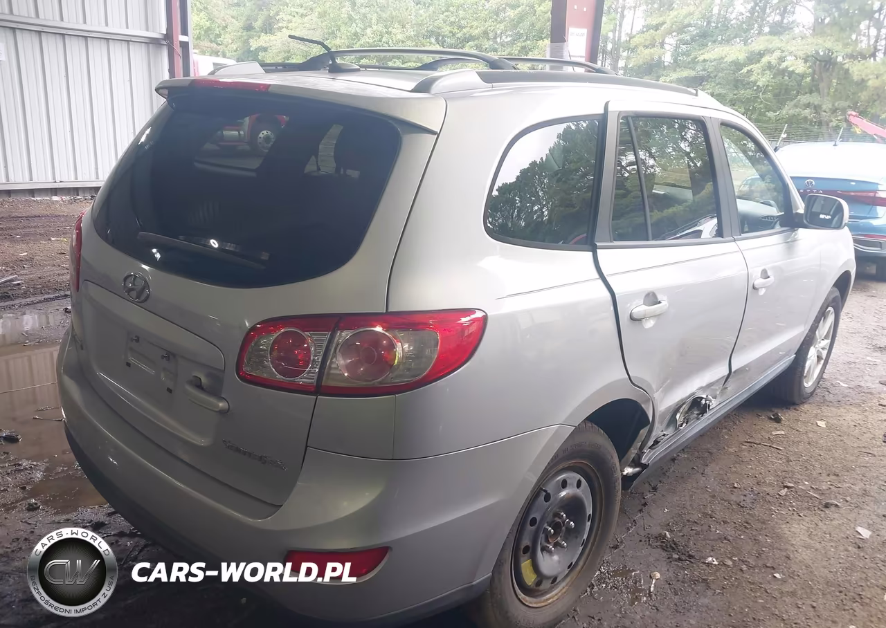 2010 Hyundai Santa Fe Se VIN:5NMSH4AG3AH392610 - 6