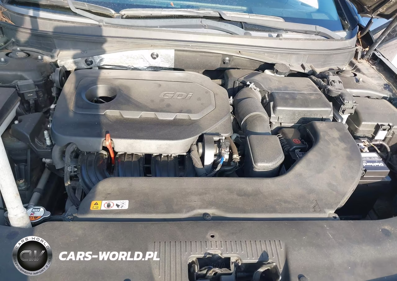 2016 Hyundai Sonata Sport VIN:5NPE34AF6GH412721 - 10