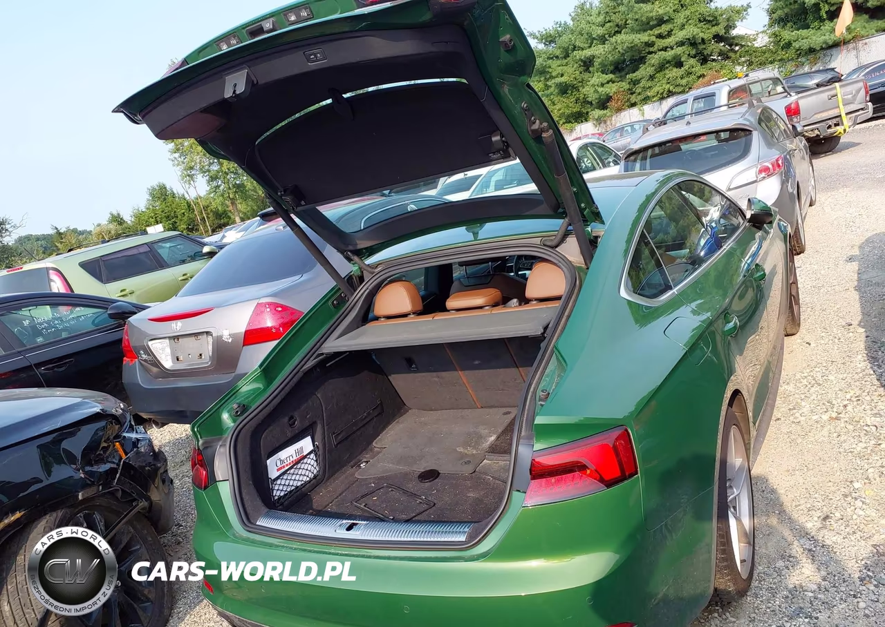 2019 Audi A5 45 Premium VIN:WAUENCF53KA055466 - 18