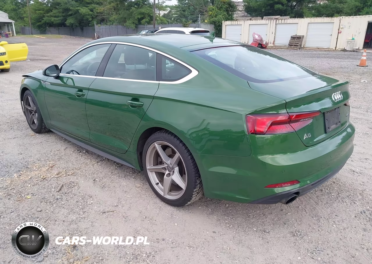 2019 Audi A5 45 Premium VIN:WAUENCF53KA055466 - 3