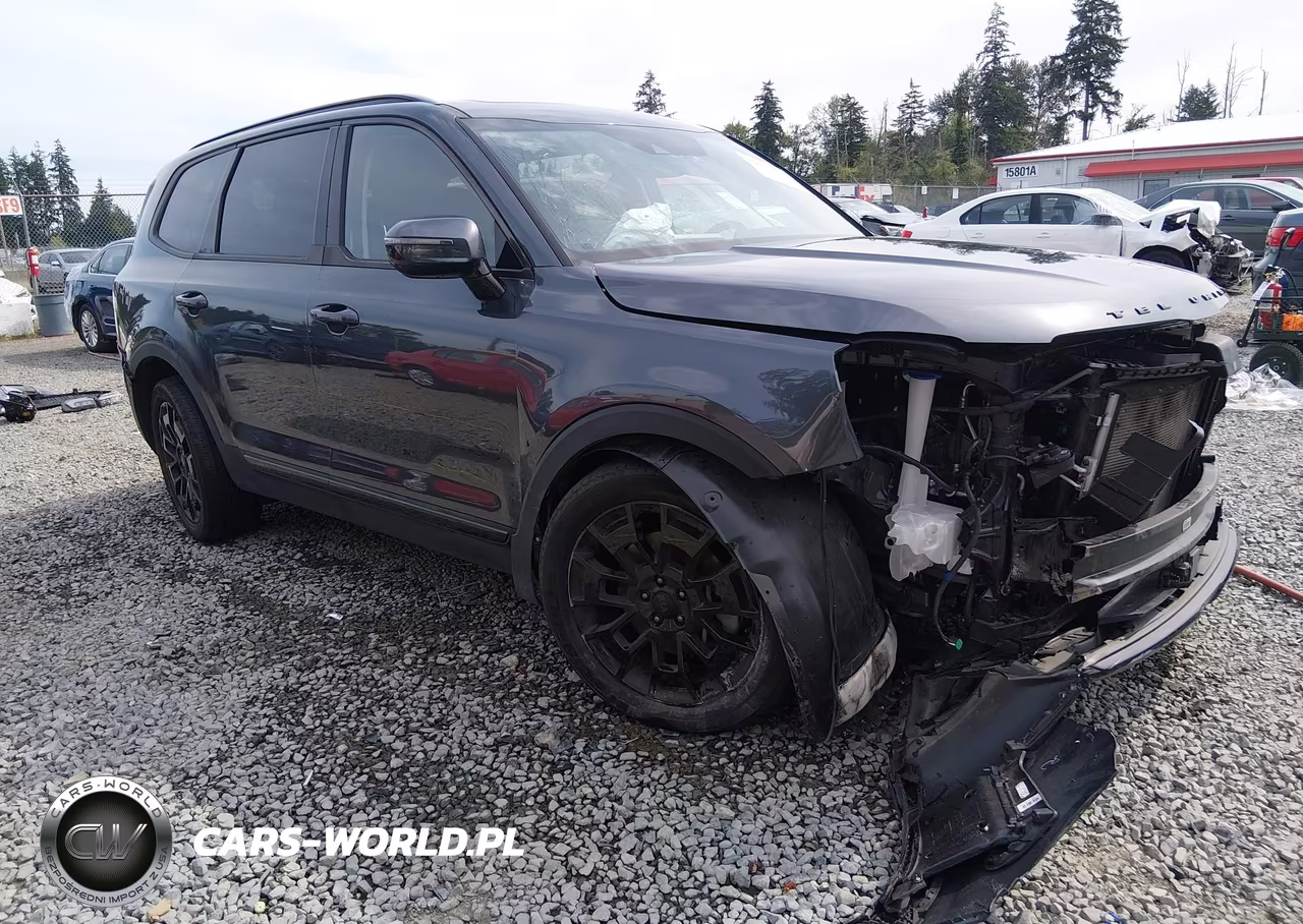 2021 Kia Telluride Sx – zdjęcie 1 z 19