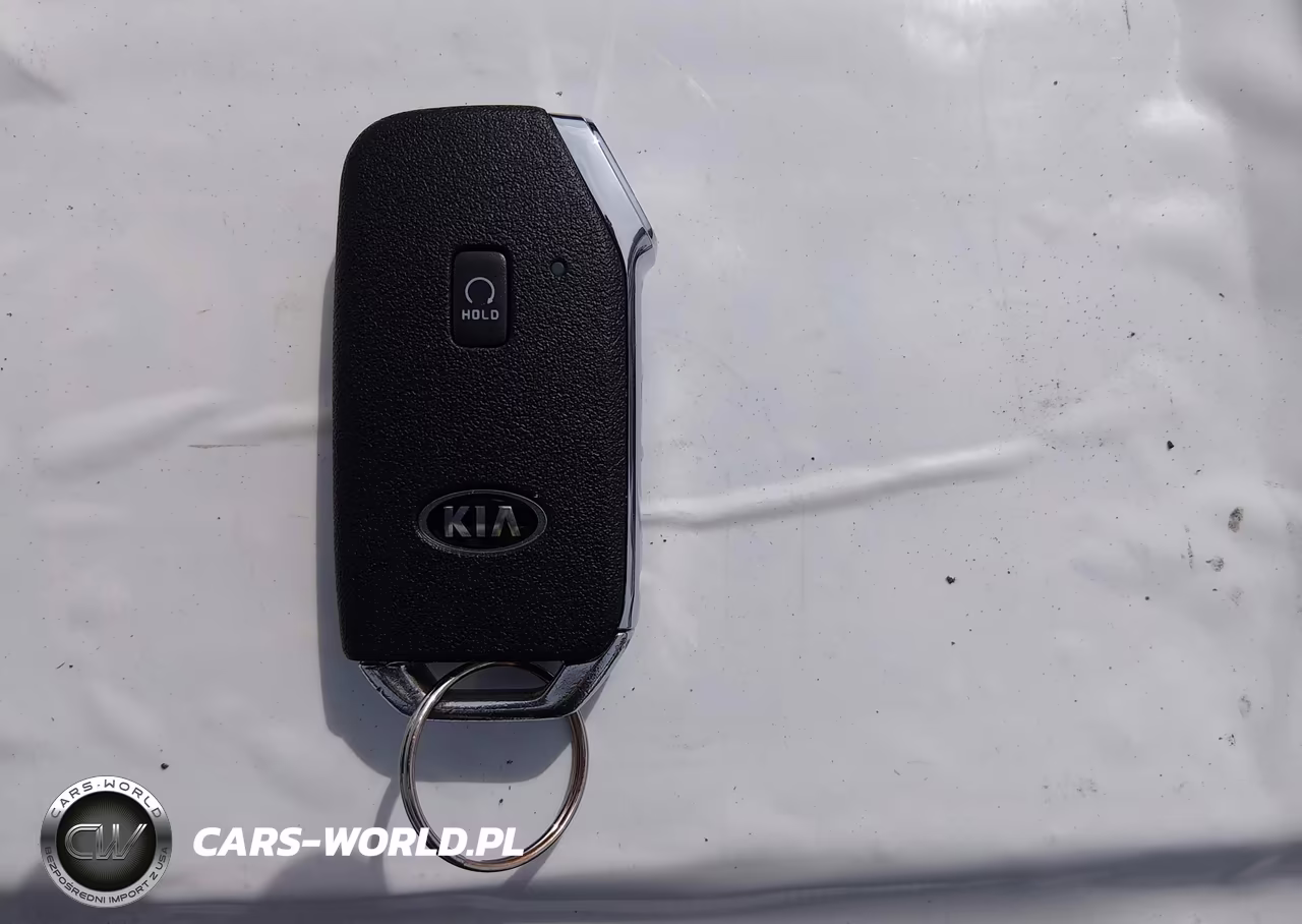 2021 Kia Telluride Sx VIN:5XYP5DHC8MG175781 - 11