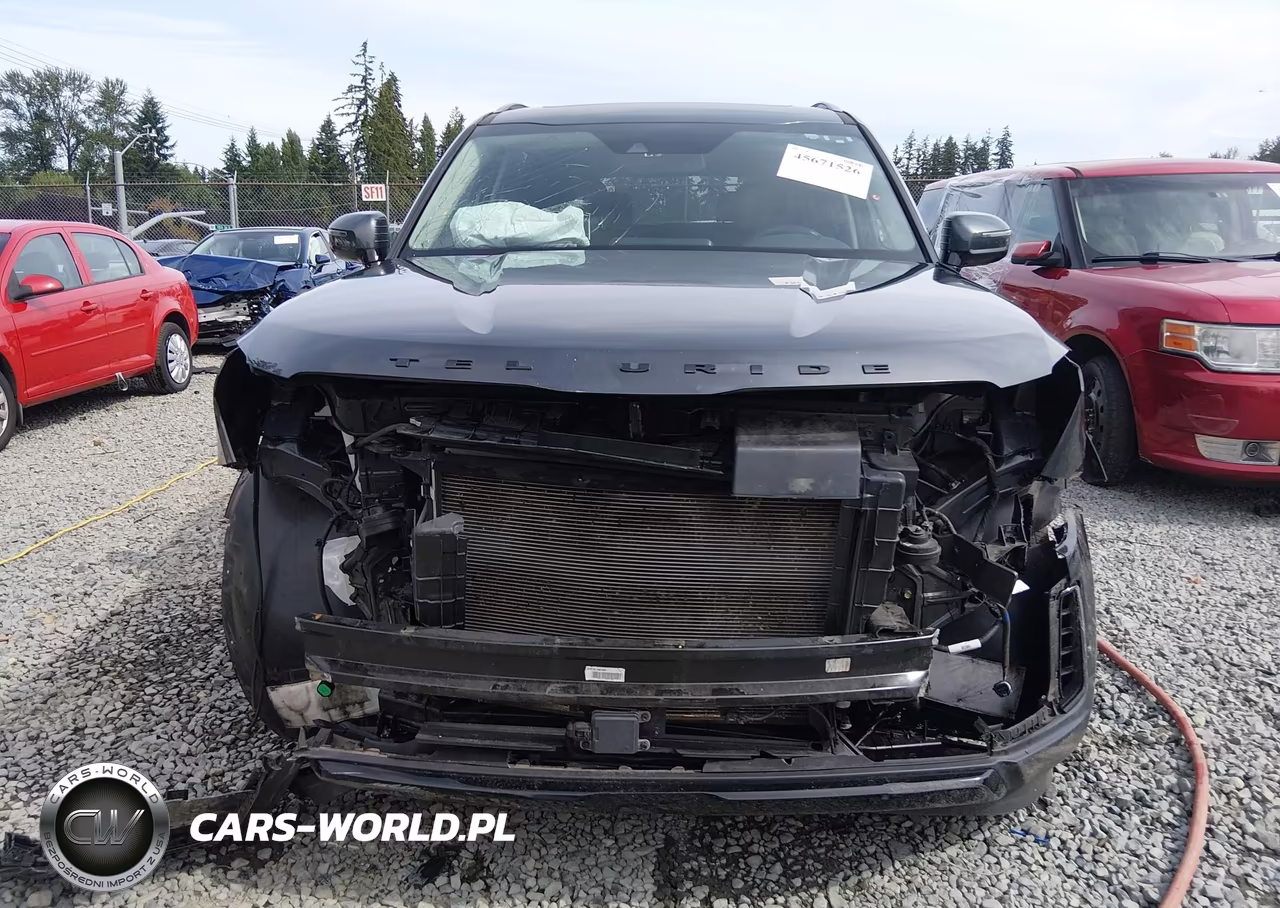 2021 Kia Telluride Sx VIN:5XYP5DHC8MG175781 - 13