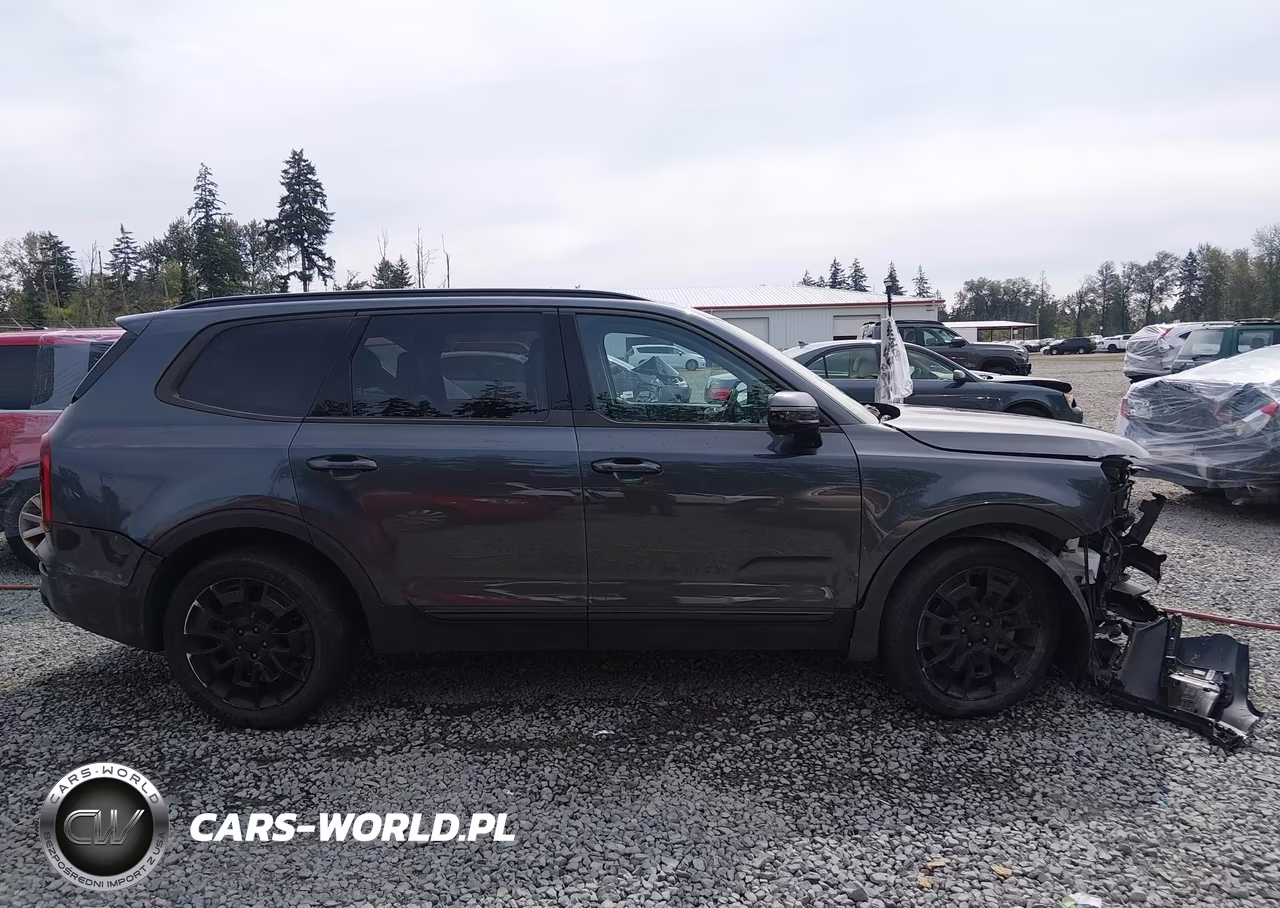 2021 Kia Telluride Sx VIN:5XYP5DHC8MG175781 - 14