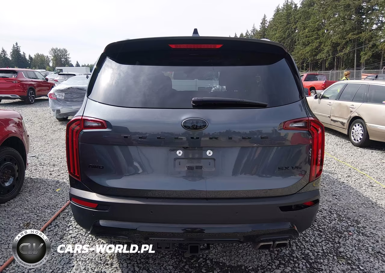 2021 Kia Telluride Sx VIN:5XYP5DHC8MG175781 - 17