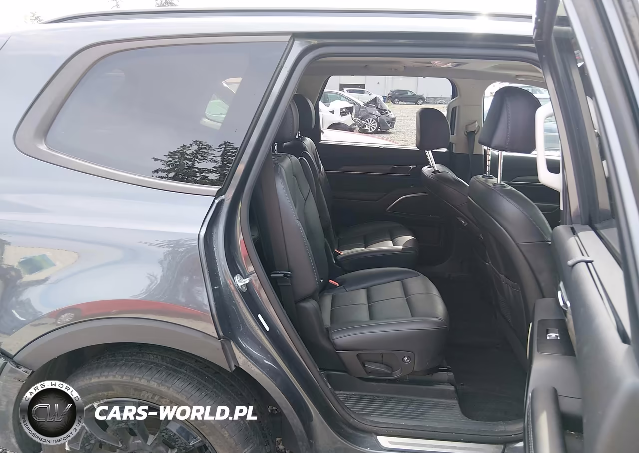 2021 Kia Telluride Sx VIN:5XYP5DHC8MG175781 - 19