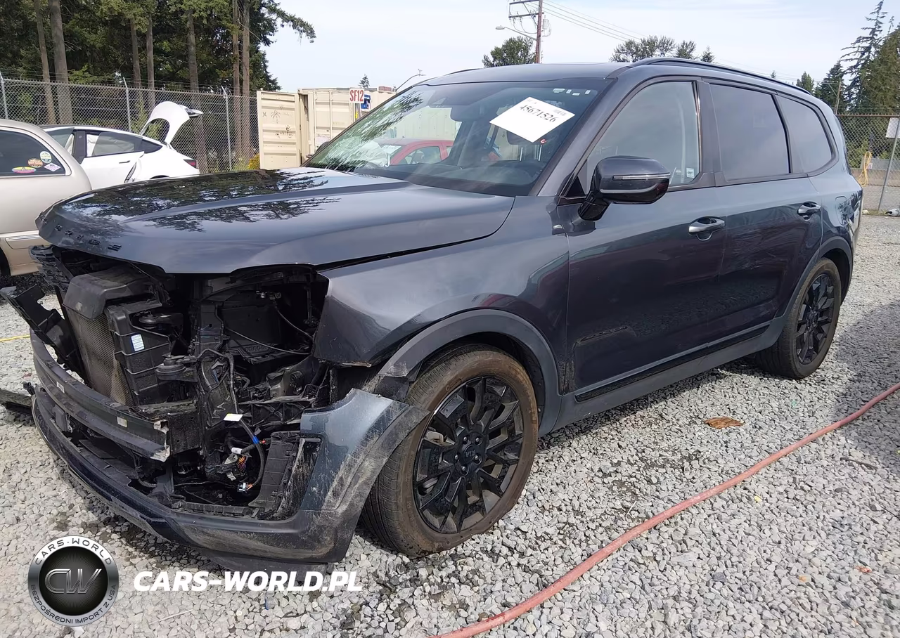 2021 Kia Telluride Sx VIN:5XYP5DHC8MG175781 - 2