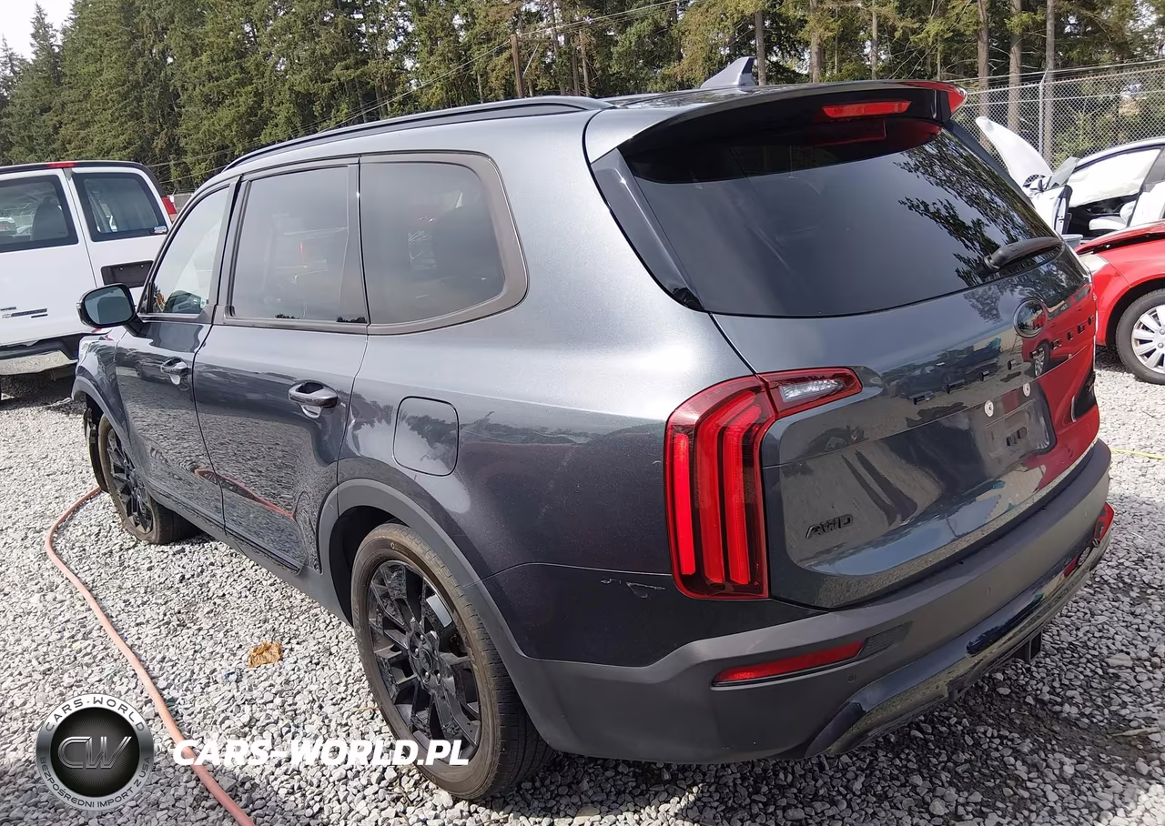 2021 Kia Telluride Sx VIN:5XYP5DHC8MG175781 - 3