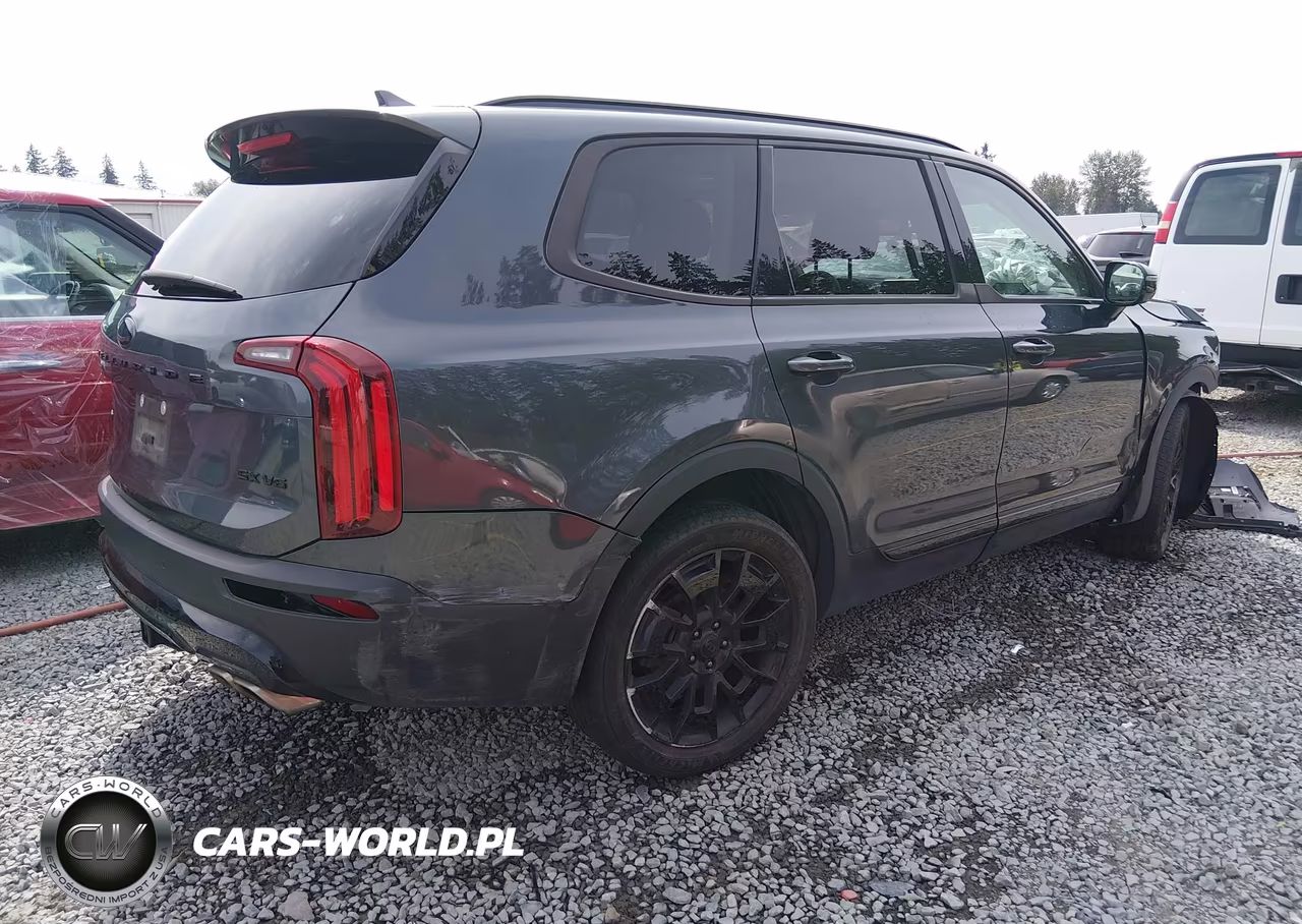 2021 Kia Telluride Sx VIN:5XYP5DHC8MG175781 - 4