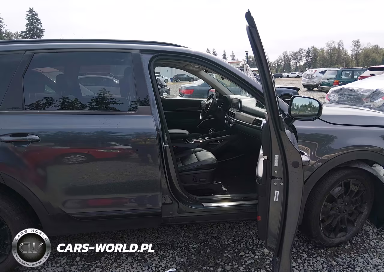 2021 Kia Telluride Sx VIN:5XYP5DHC8MG175781 - 5