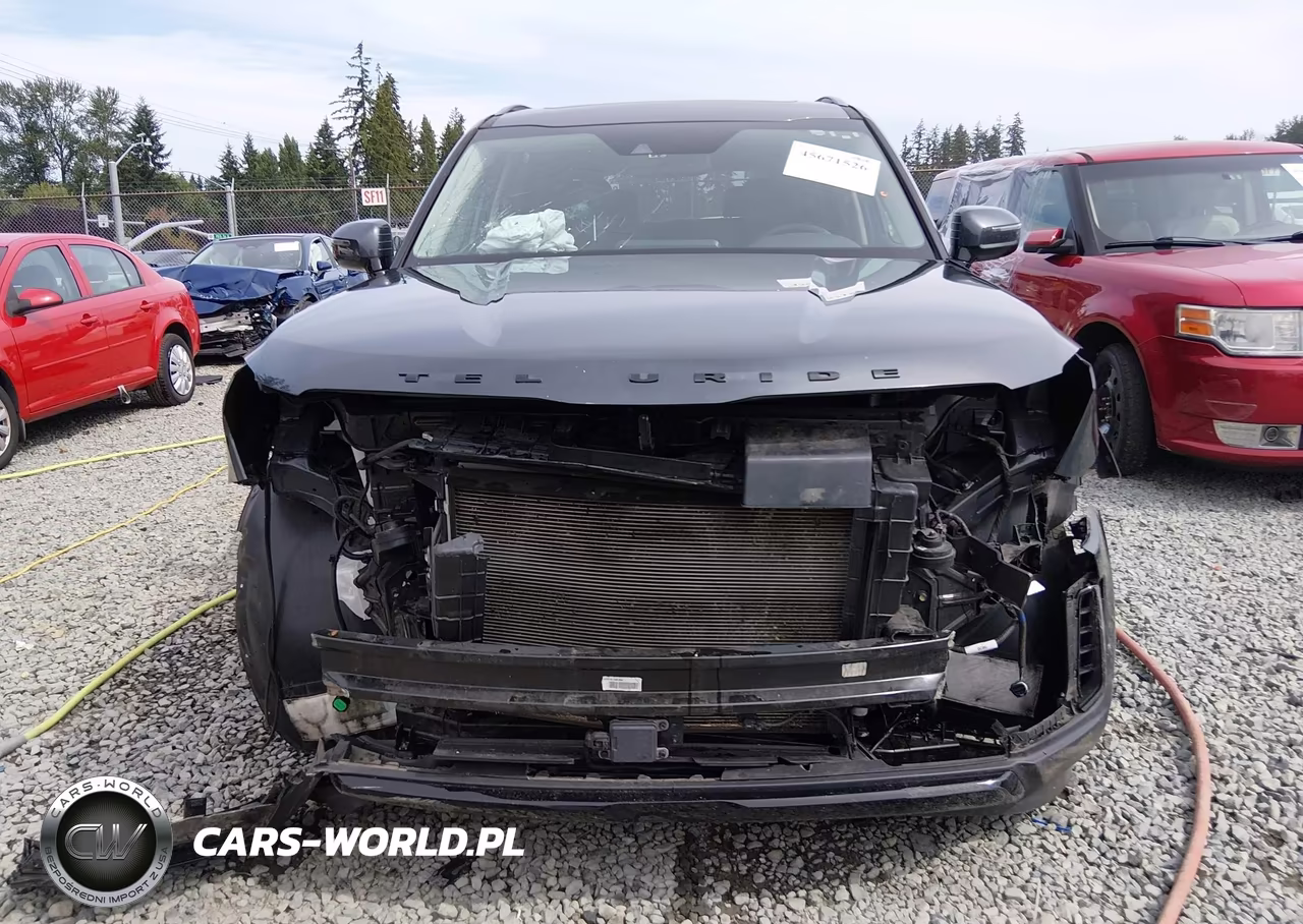 2021 Kia Telluride Sx VIN:5XYP5DHC8MG175781 - 6