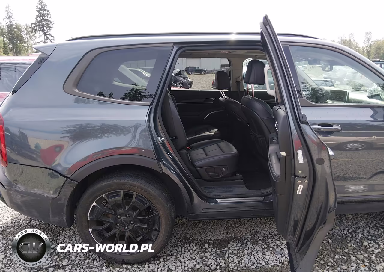 2021 Kia Telluride Sx VIN:5XYP5DHC8MG175781 - 8