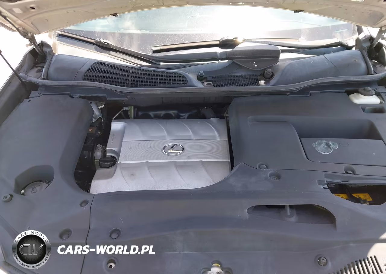 2010 Lexus Rx 350 VIN:2T2BK1BA5AC080056 - 10