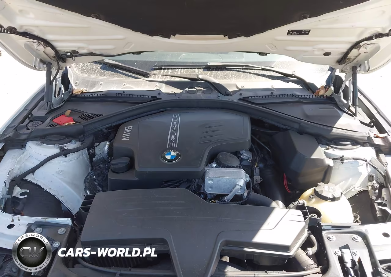2016 BMW 320I VIN:WBA8A9C51GK618824 - 10