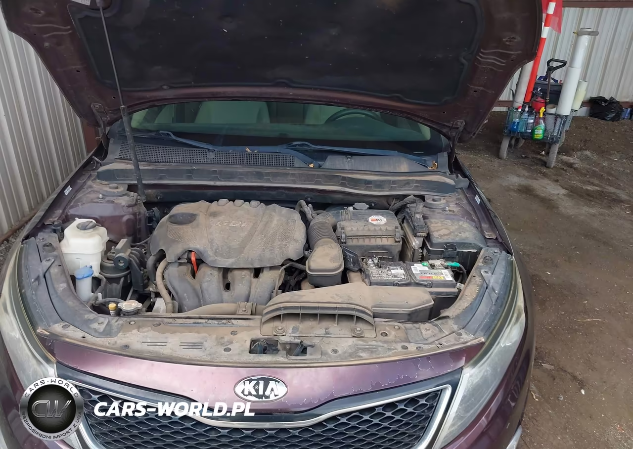 2014 Kia Optima Lx VIN:5XXGM4A70EG261804 - 10